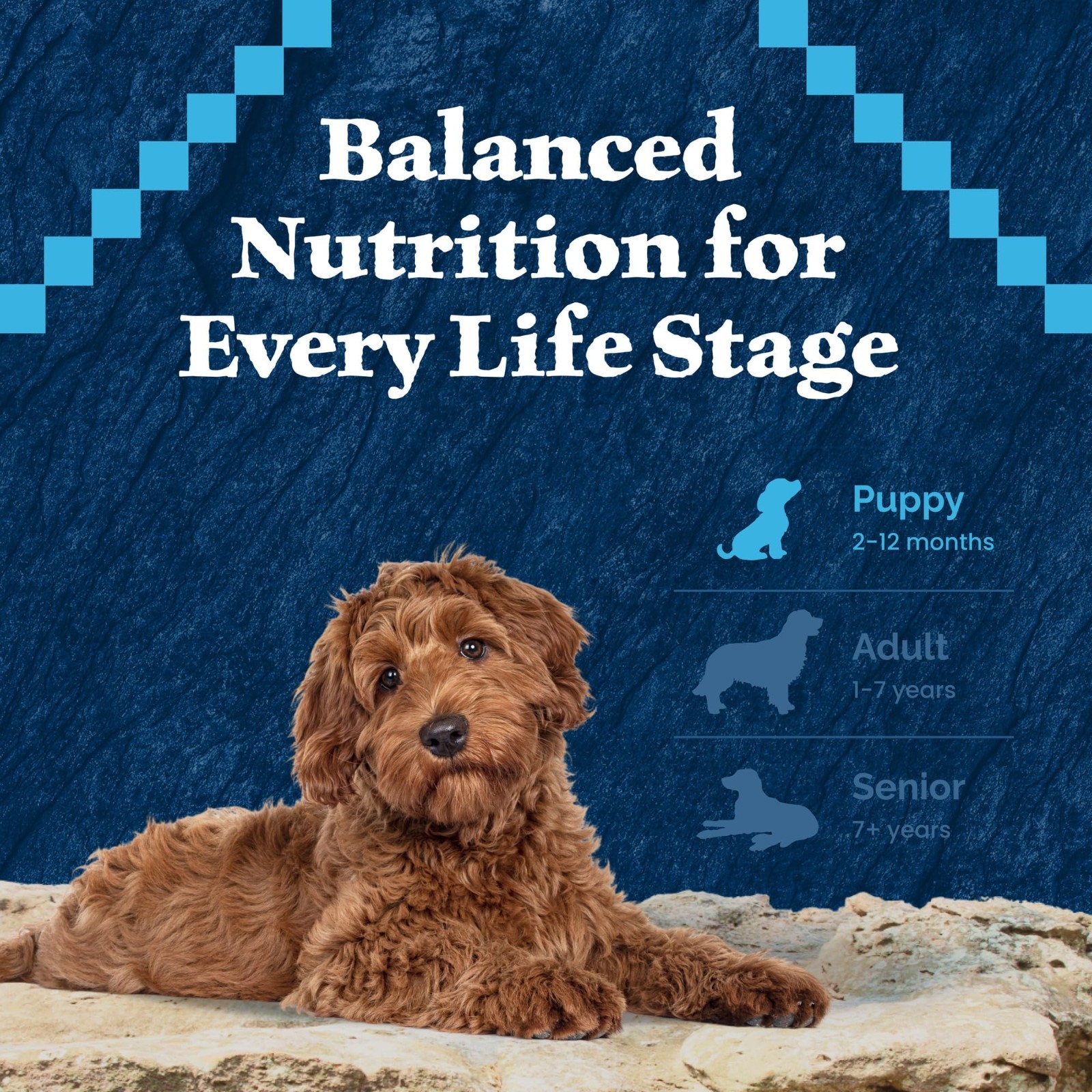 Blue Buffalo Wilderness Nature’s Evolutionary Diet Puppy Dog Food,Chicken, 28lb