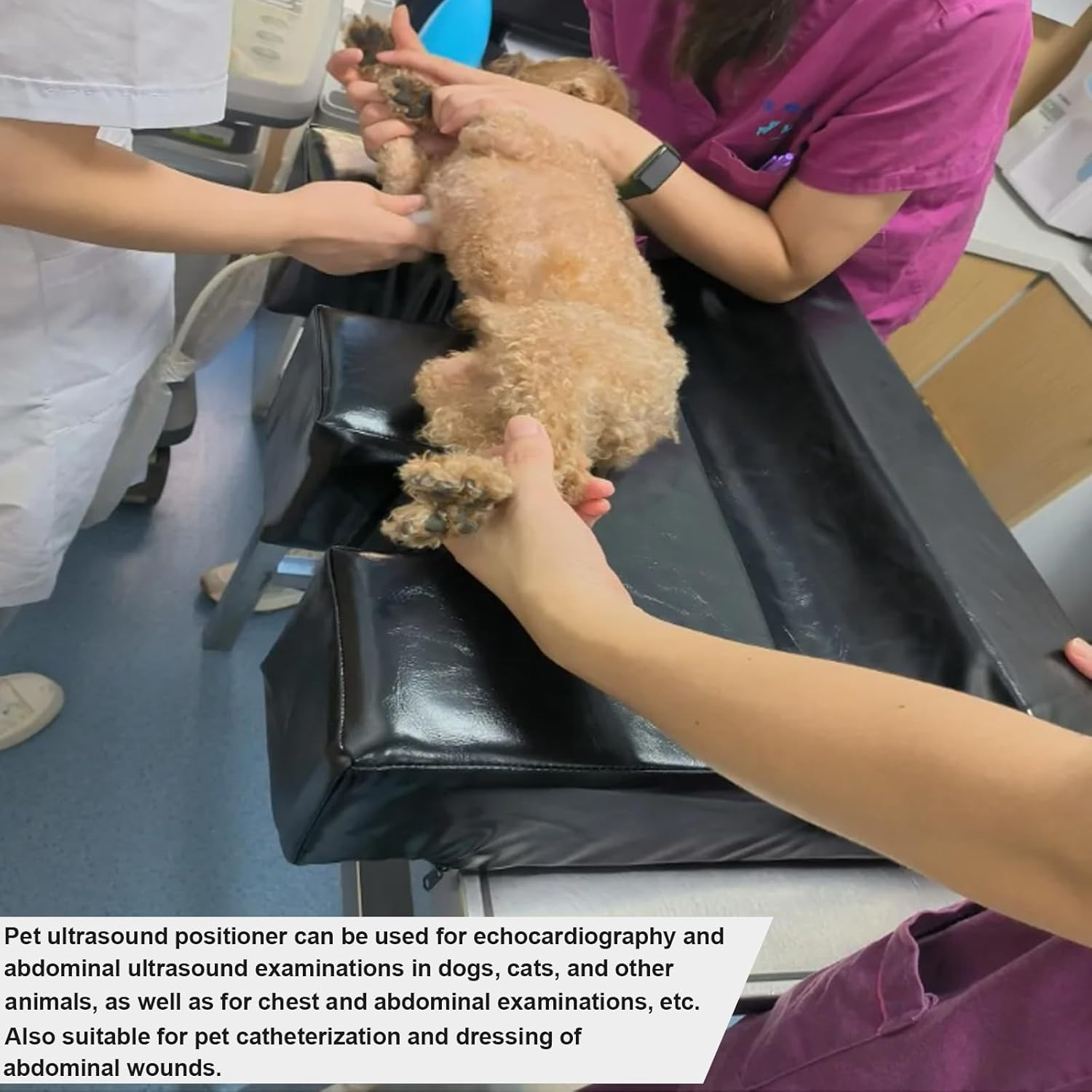 Veterinary Ultrasound Positioner Wedge with U Slot, Dog X-Ray Immobilizer Pad fo