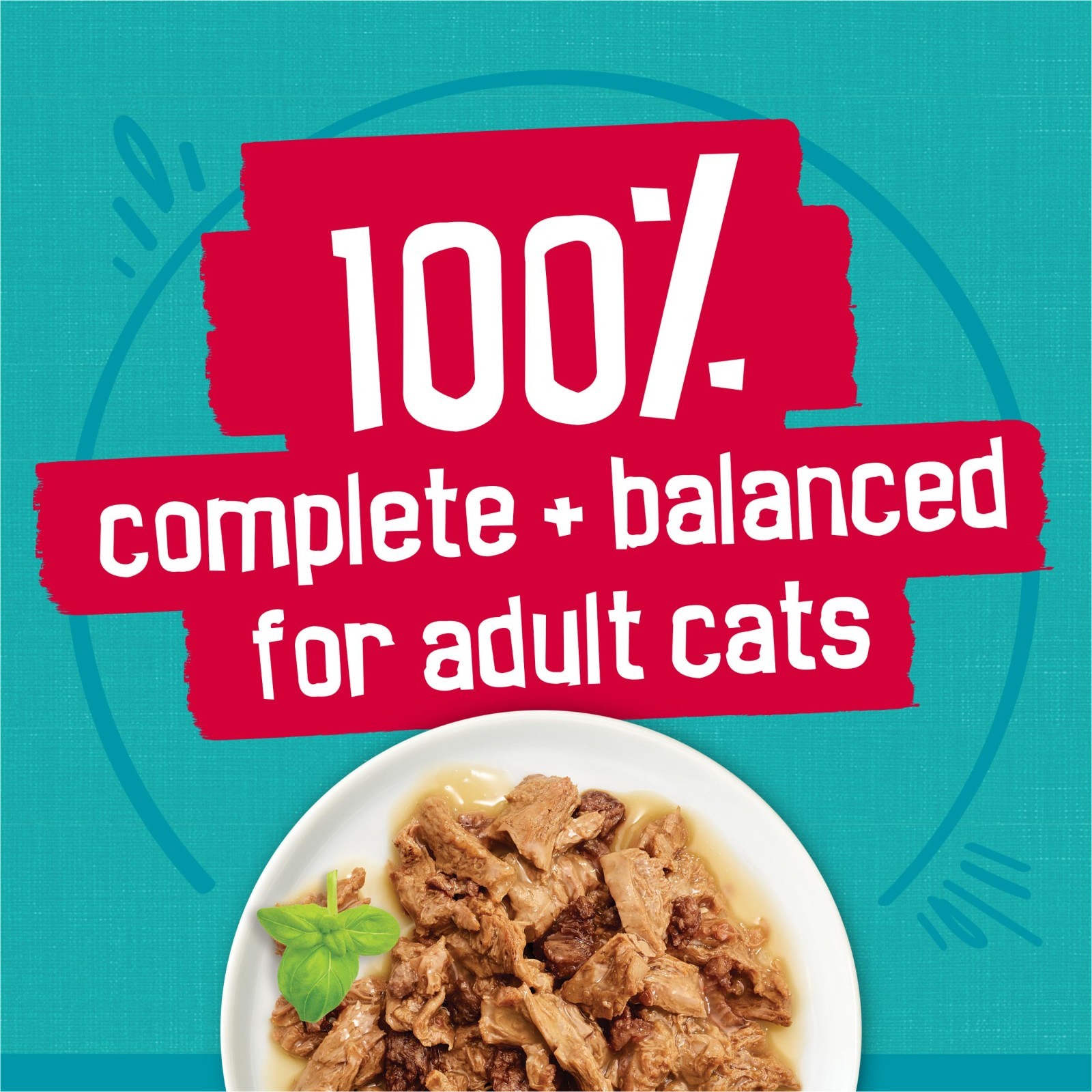 Friskies Gravy Wet Cat Food 72 Pack Prime Filets Tasty Treasures 5.5 oz Cans