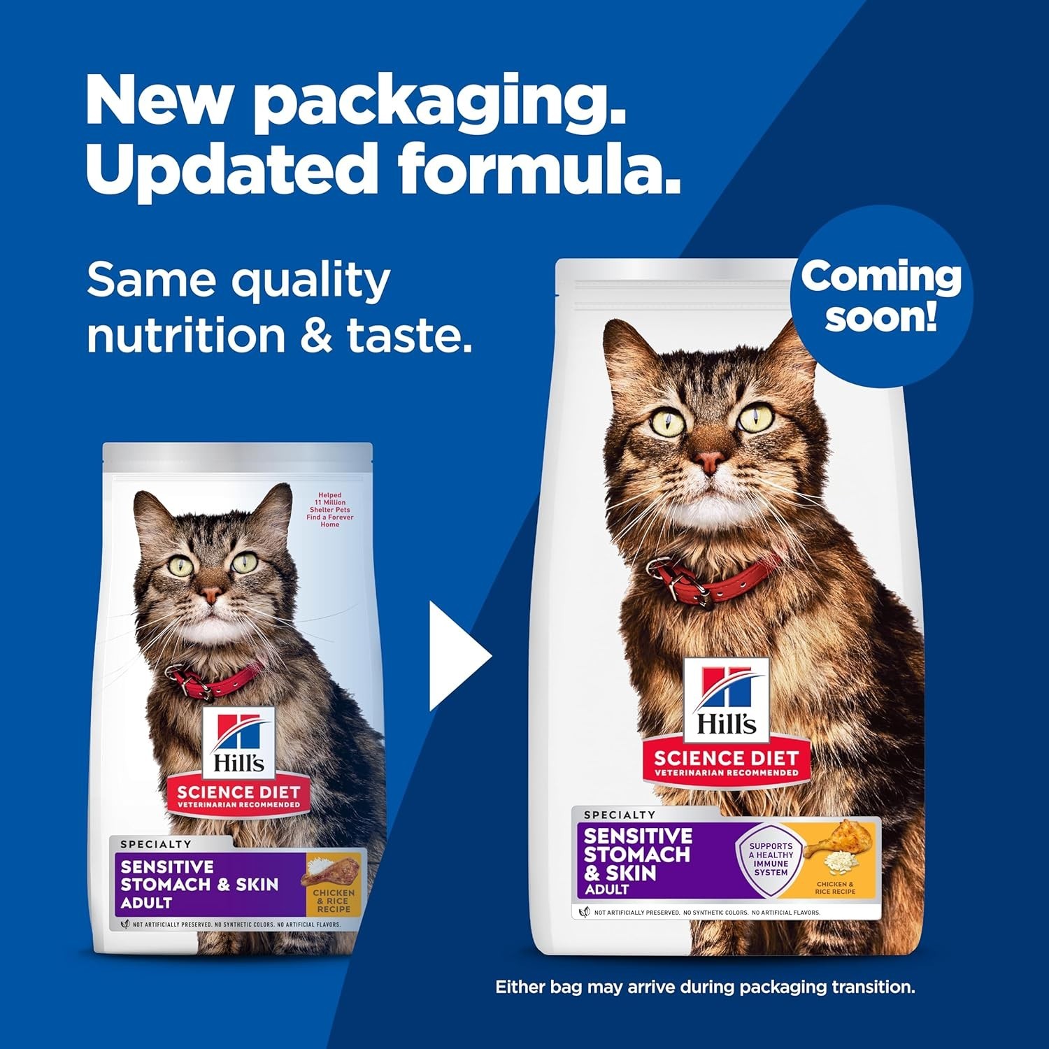 Hill’s Science Diet Sensitive Stomach & Skin Adult Dry Cat Food – Chicken,15.5lb