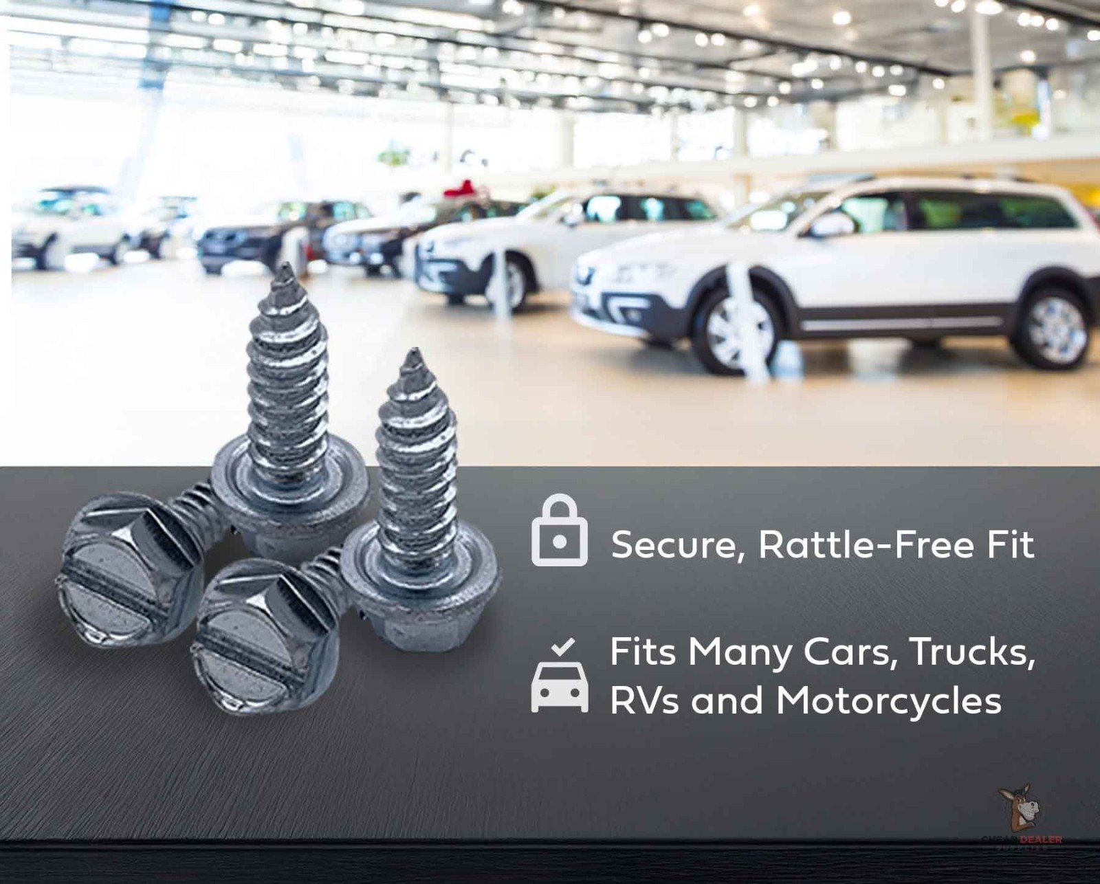 License Plate Screws (Pack of 4) – Slotted Hex Head – American