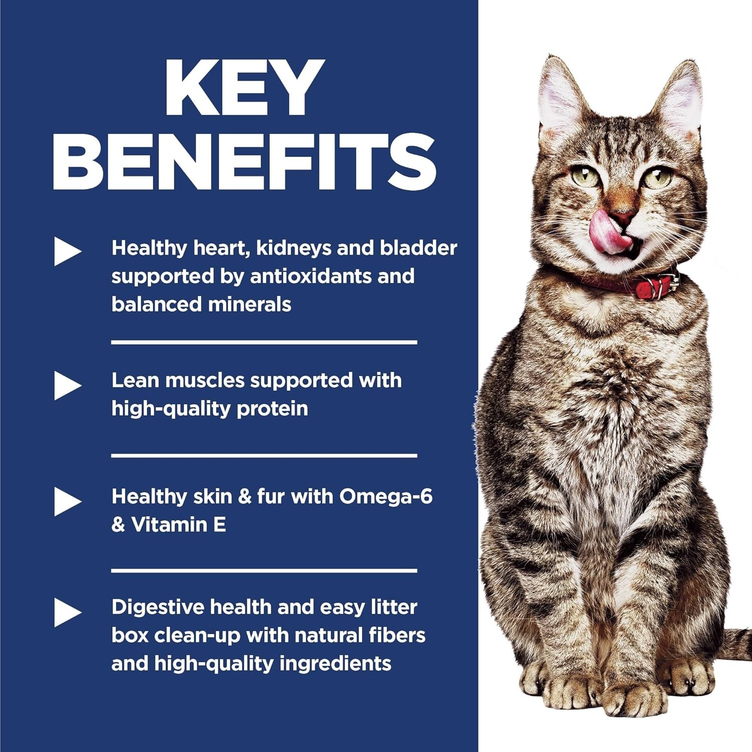 Hill’s Science Diet Adult 7+ Indoor Dry Cat Food, Chicken, 15.5 lb. Bag