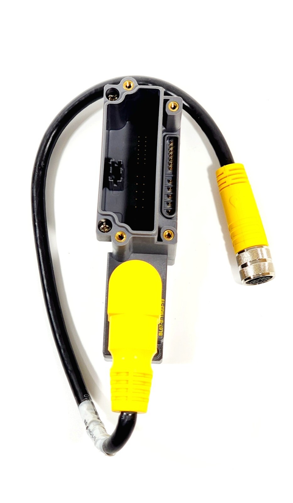 TURK BL67-B-1M16-19-0.5M Cable Assembly P/N 163K470H01