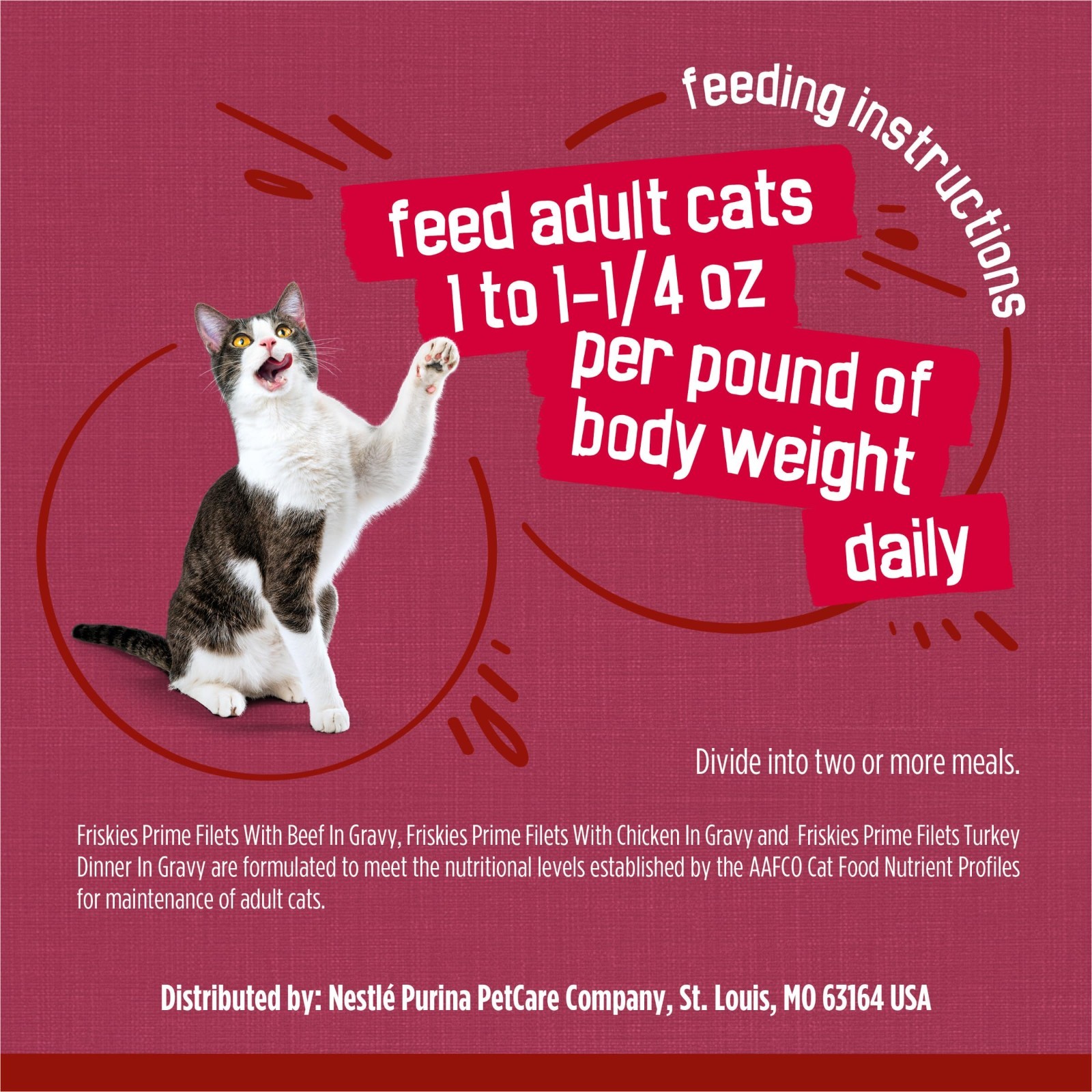 3 PACK Purina Friskies Gravy Wet Cat Food Variety Pack, Prime Filets Meaty,24ct