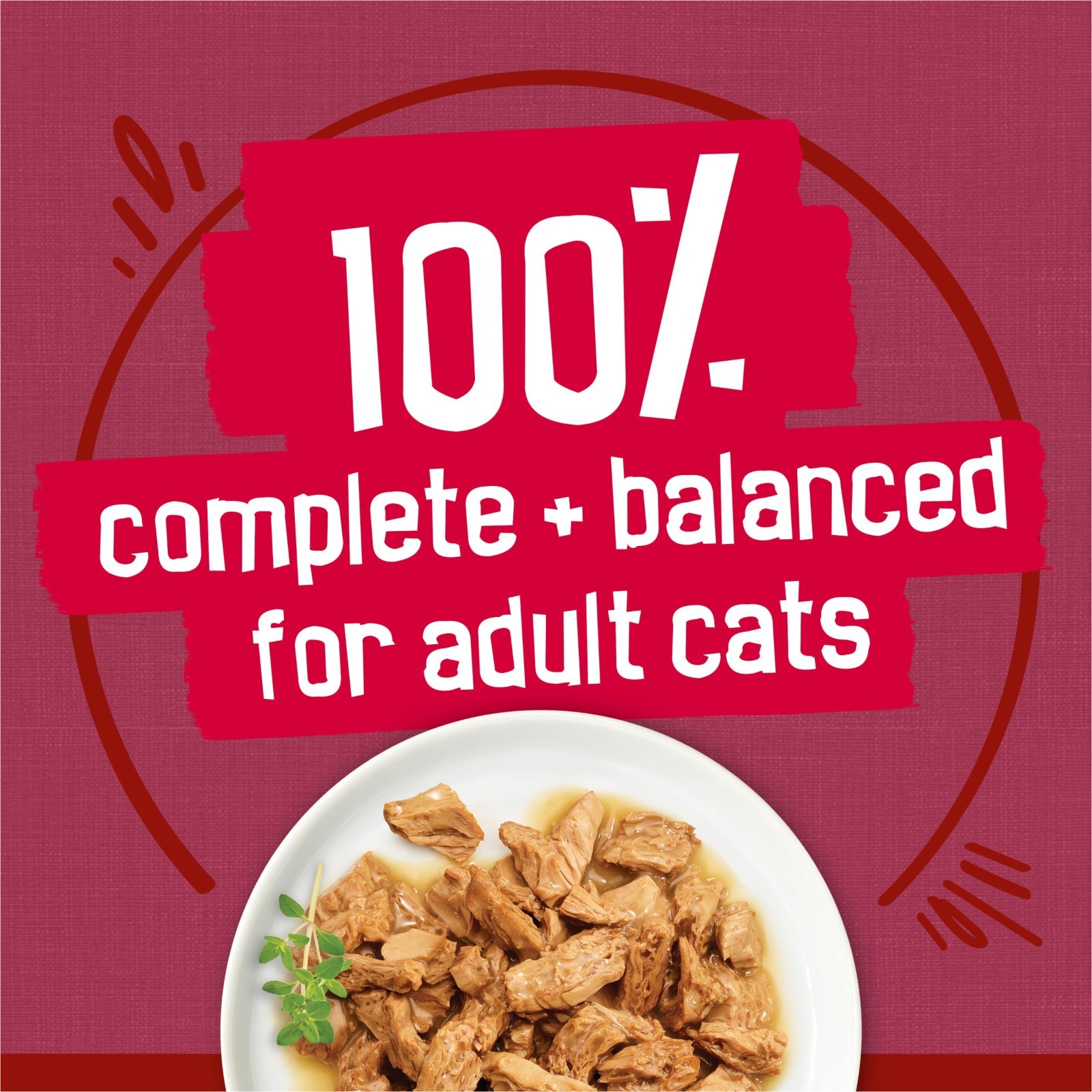 3 PACK Purina Friskies Gravy Wet Cat Food Variety Pack, Prime Filets Meaty,24ct