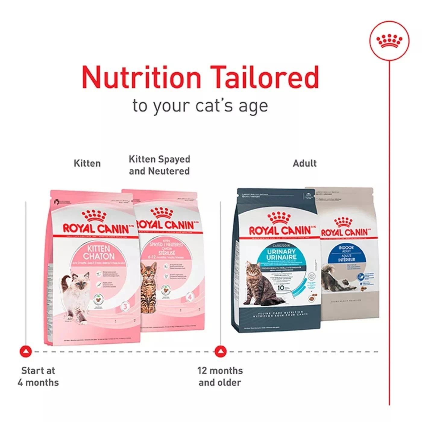 Royal Canin Feline Health Nutrition Kitten Dry Cat Food, 14 lb