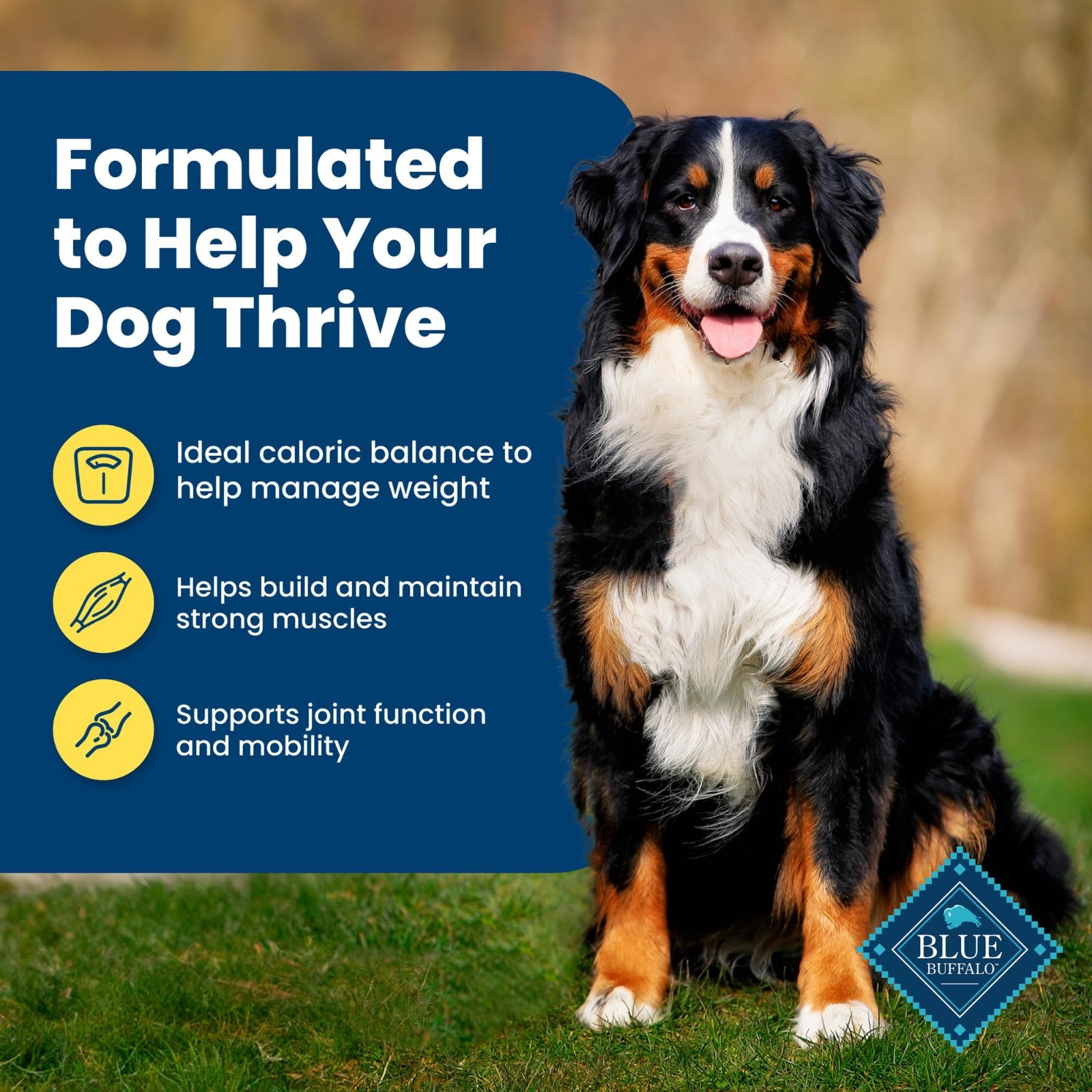 Blue Buffalo Life Protection Formula Adult Healthy Weight Dry Dog Food 30 lbs