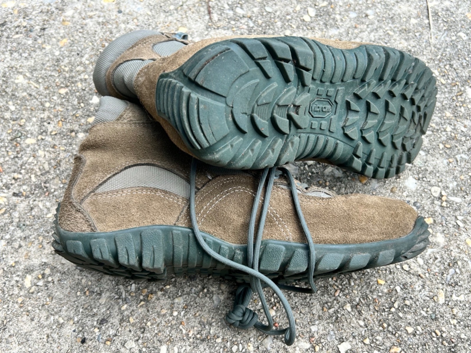 Belleville 693 Combat Boot 9.5W Coyote