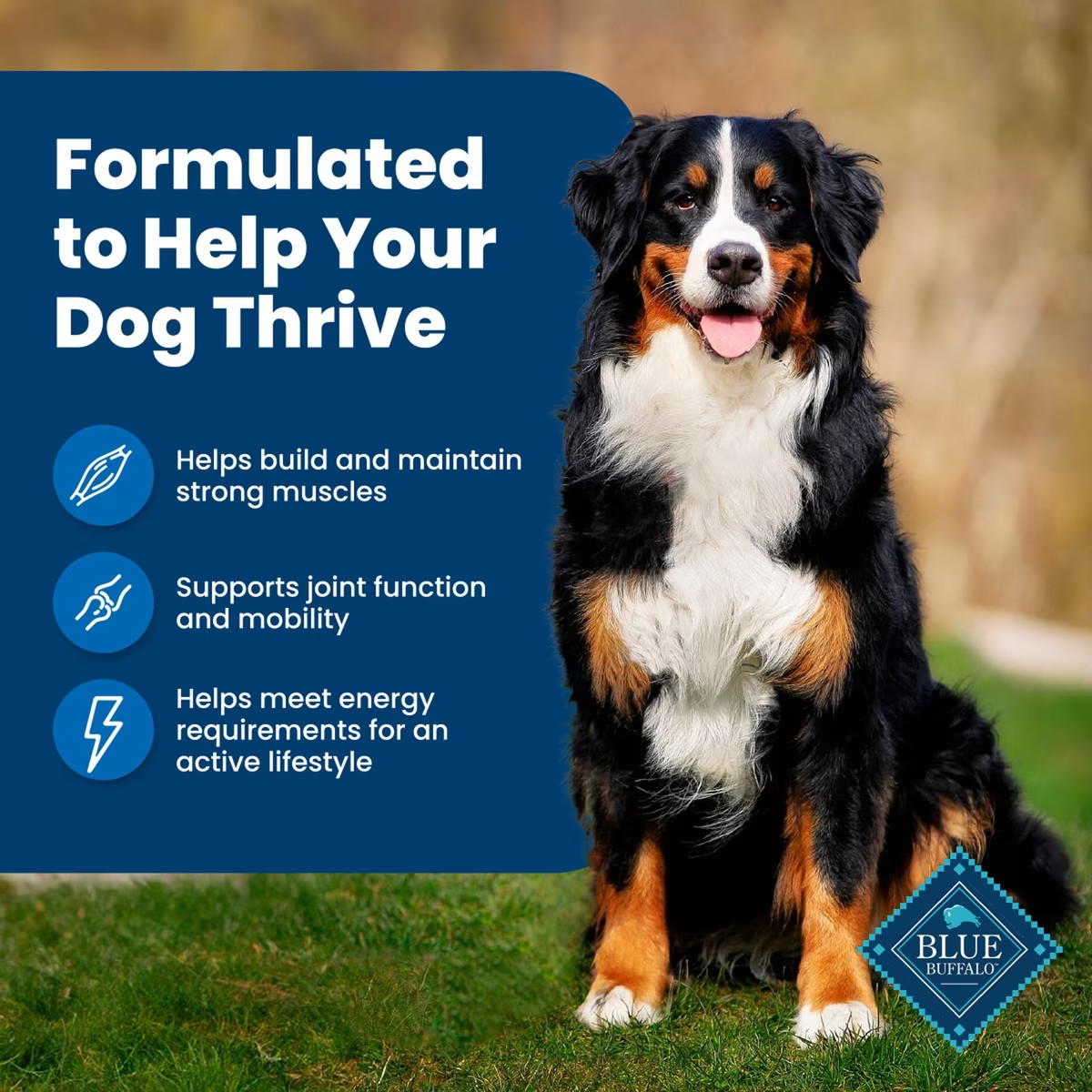 Blue Buffalo Life Protection Formula Adult Dry Dog Food-Chicken&Brown Rice,30-lb