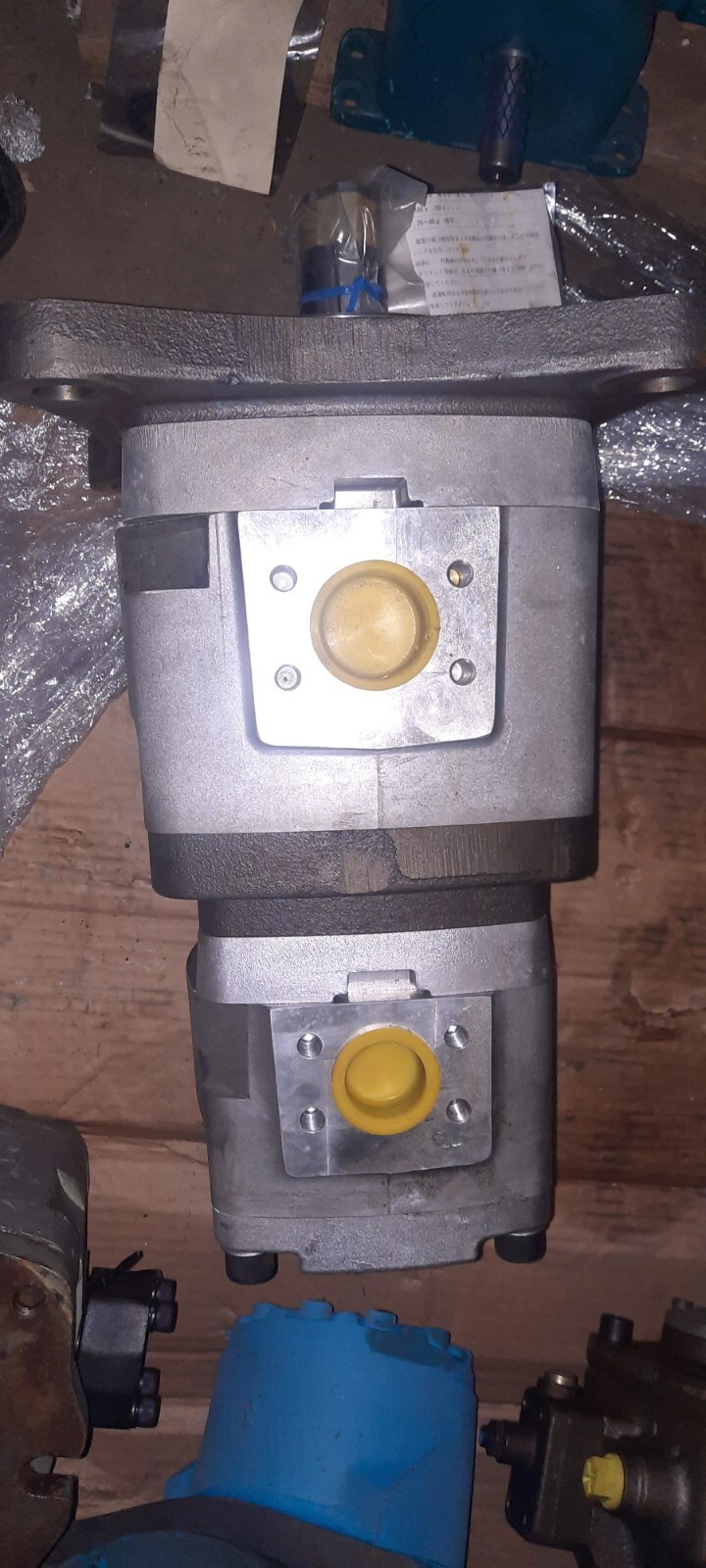 Nachi W-IPH-56B-40-100-11 Hydraulic Double Ip