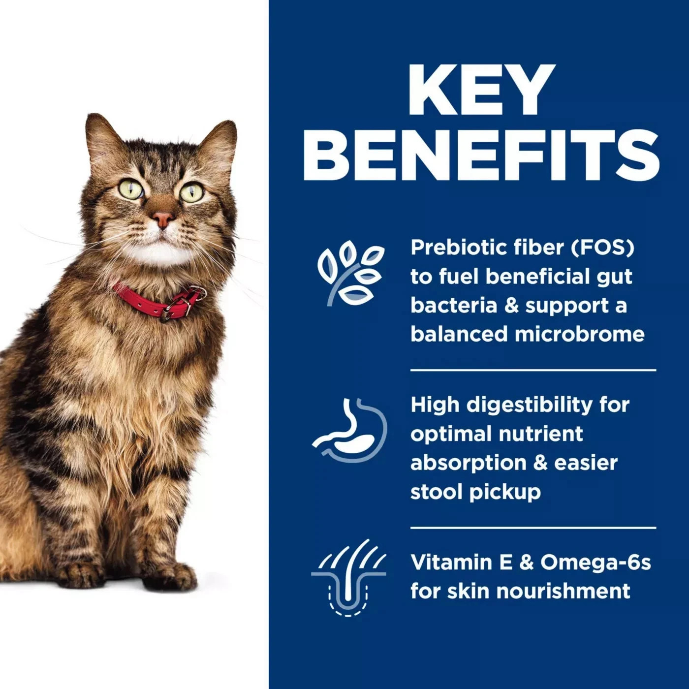 Hill’s Science Diet Sensitive Stomach & Skin Adult Dry Cat Food – Chicken/15.5LB