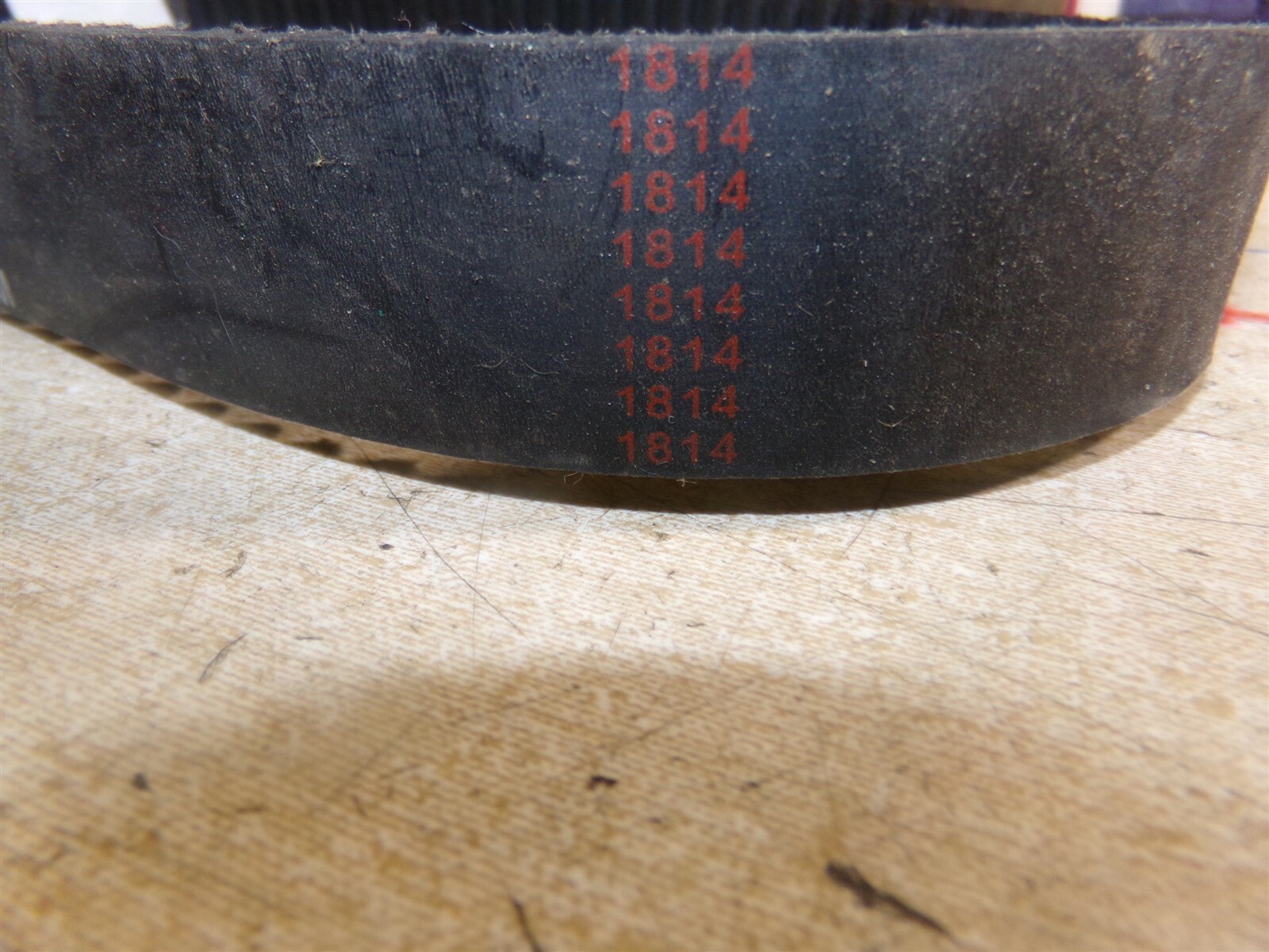 NEW BestorQ 600-8M 1814 Gear Belt *FREE SHIPPING*