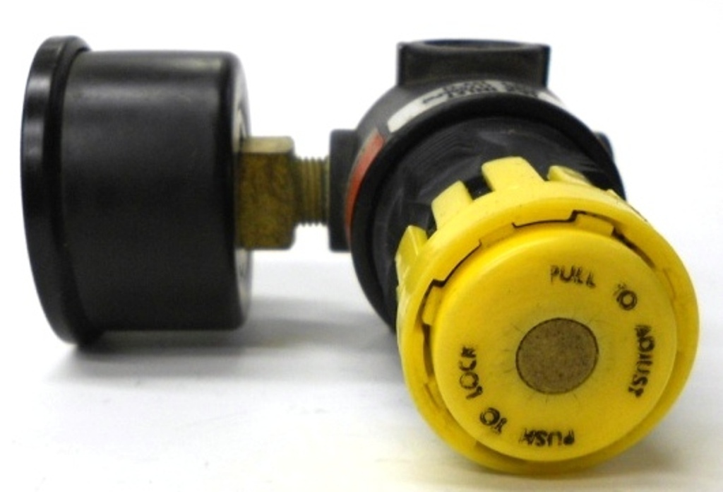 SCHRADER BELLOWS REGULATOR, 14R113FCSB, WITH GAUGE 0-7kPa & 0-100PSI, 1/4″ PORTS