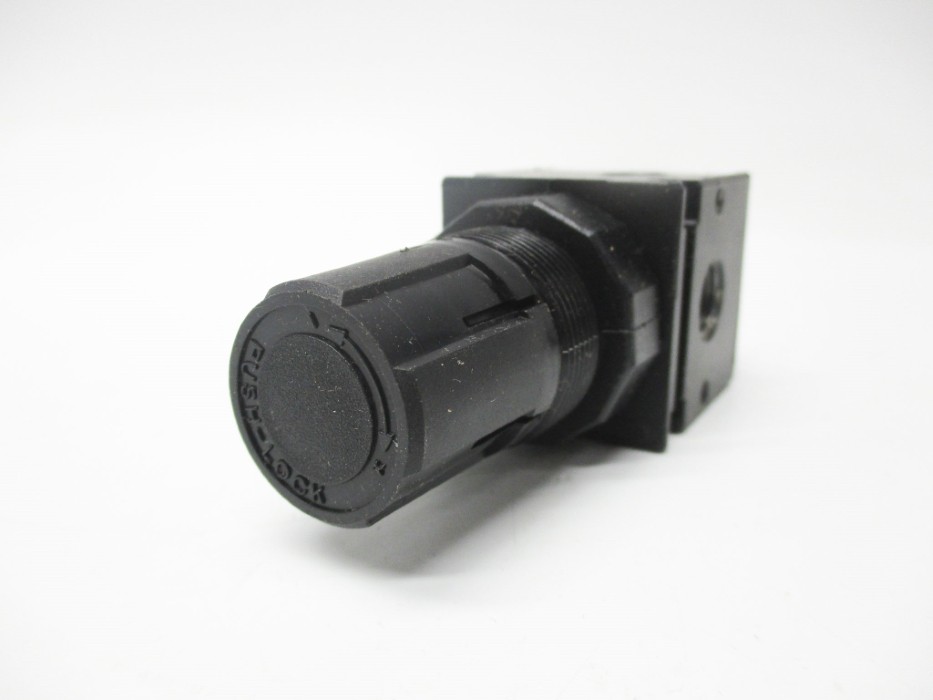 WATTS R35-02C 300PSI 1/4″ NSMP