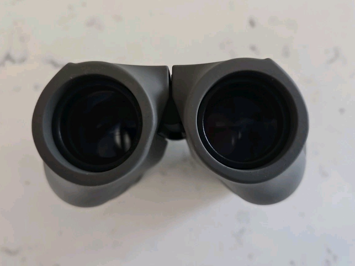 Carson Jd-025 Compact Binocular, 10 X 25 Magnification, Bk-7 Prism, 342 Ft