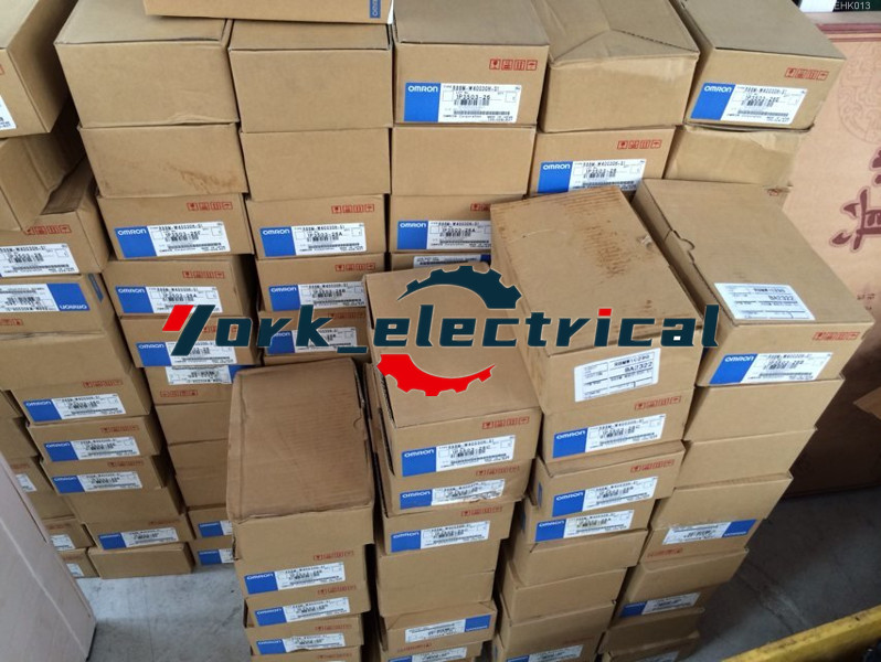 1PCS NEW R88M-W03030H-B via DHL or FedEx