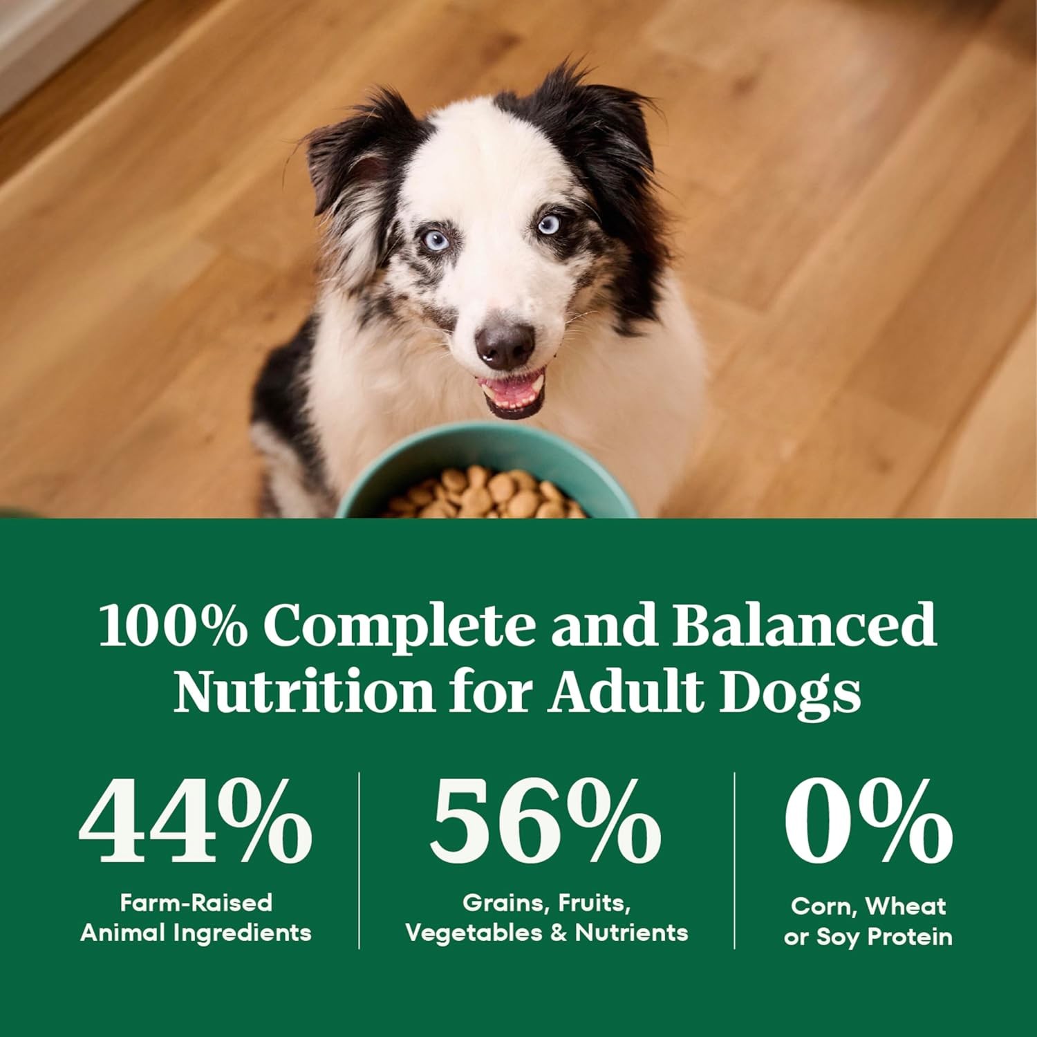 Nutro Natural Choice Adult Dry Dog Food, Chicken and Brown Rice Recipe, 30 lbs.
