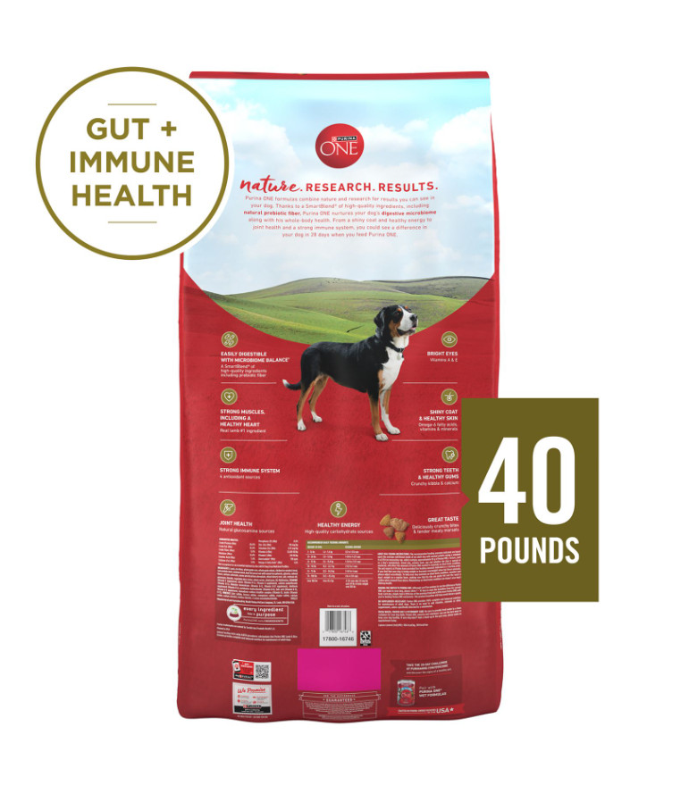 Purina ONE Lamb & Rice Formula Dry Dog Food, 40 lbs.