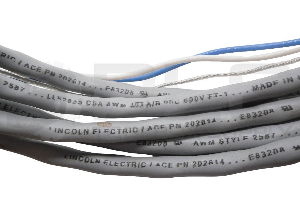NEW ACE ELECTRONICS 202683-010 CABLE, W/ APH 1712 8786456 97-3106A18-11PX-621