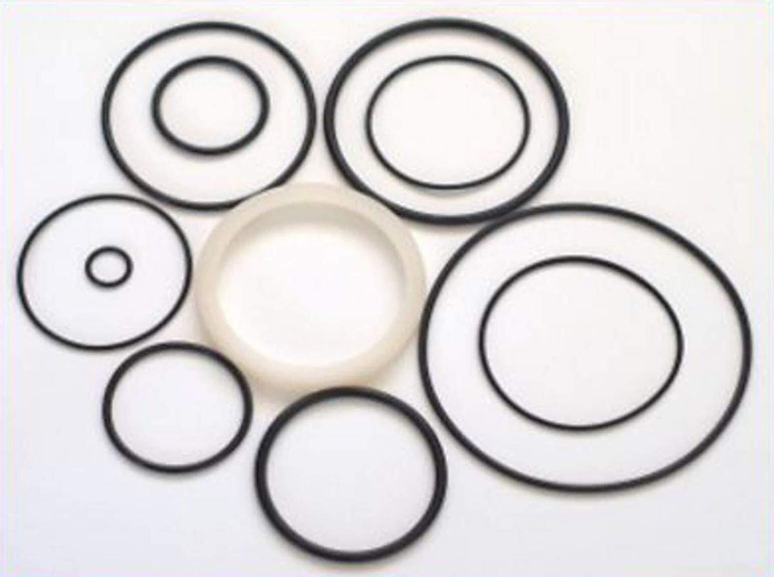 O-Ring Depot Fits Rebuild Kit for Paslode Framing Nailer Orings + 402011 Kit
