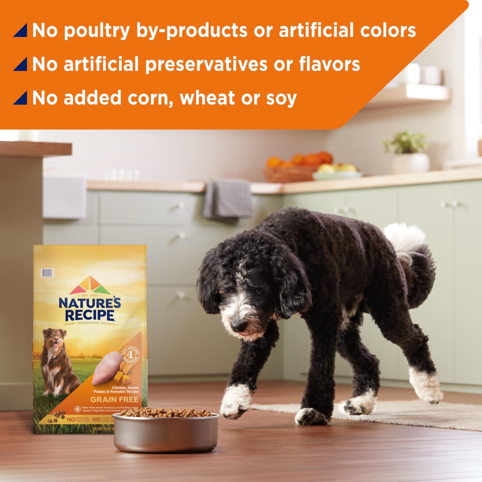 Nature’s Recipe Grain Free Chicken, Sweet Potato & Pumpkin Recipe Dry Dog, 48lb