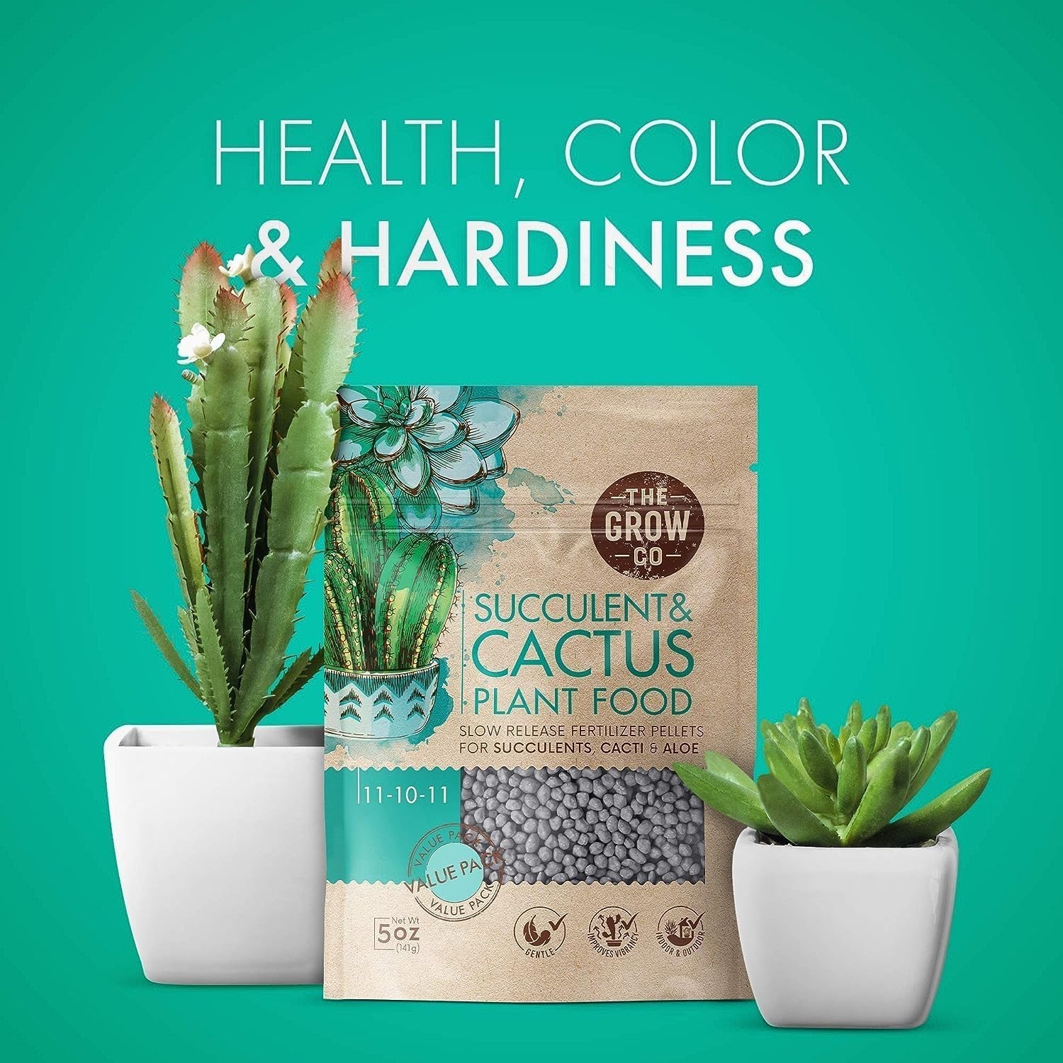 Succulents & Cactus Plant – Gentle Long Lasting Formula, Slow Release Fertilize