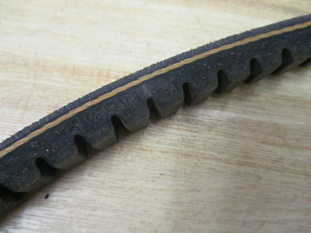 Carlisle BX99 Gold-Ribbon Cogged V-Belt
