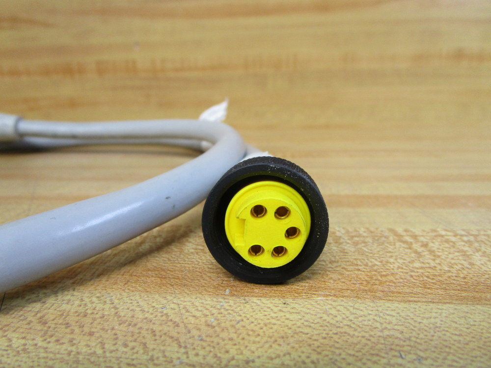 Lumberg Automation 0935 613 301/1M Double Ended Cord RSRK 50-613/1M