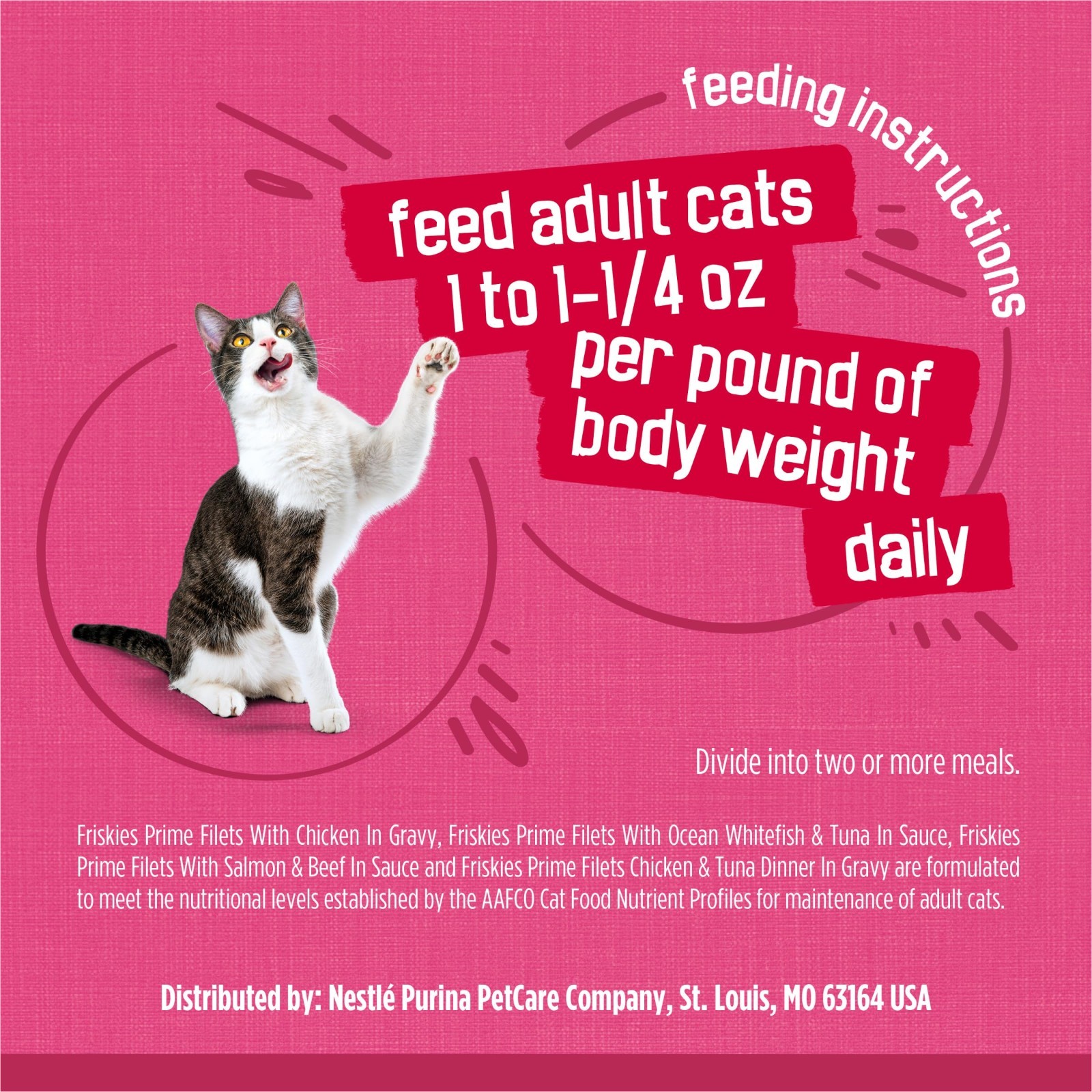 Purina Friskies Gravy Wet Cat Food Variety Pack, (Pack of 80) 5.5 oz. Cans