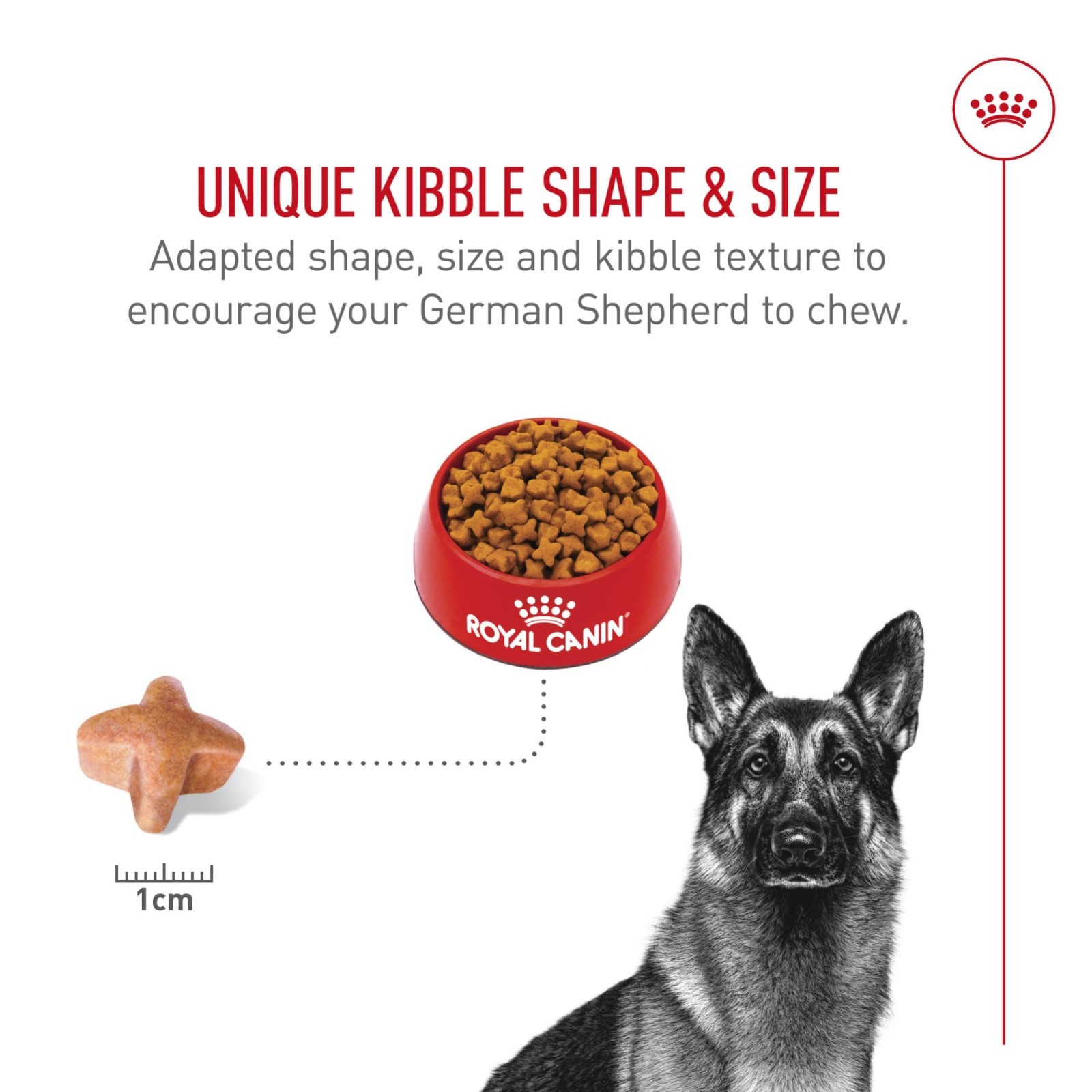 Royal Canin Breed Health Nutrition German Shepherd Adult Dry Dog Food, 30 lb Bag