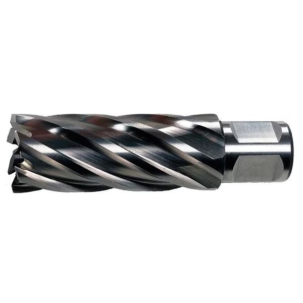 Slugger By Fein 63134199003 Annular Cutter, HSS, 20mm dia., 3D