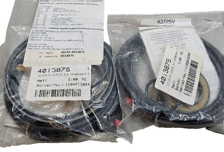 Pfeiffer 251440/0004 3725v Spare Part Set Series 31a DAP-SRP00450 Bearings/Oring