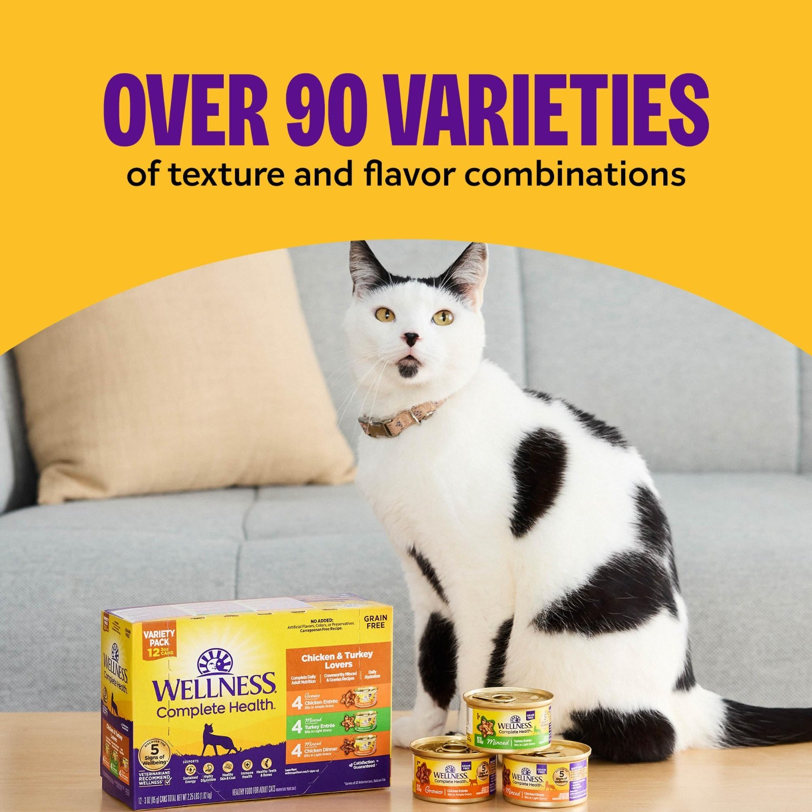 Wellness Complete Health Pate Kitten Wet Cat Food, Chicken, 3 oz – 48 ct
