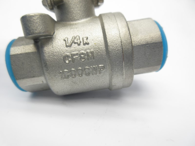 FNW 1000CWP CF8M 1/4″ NSNP