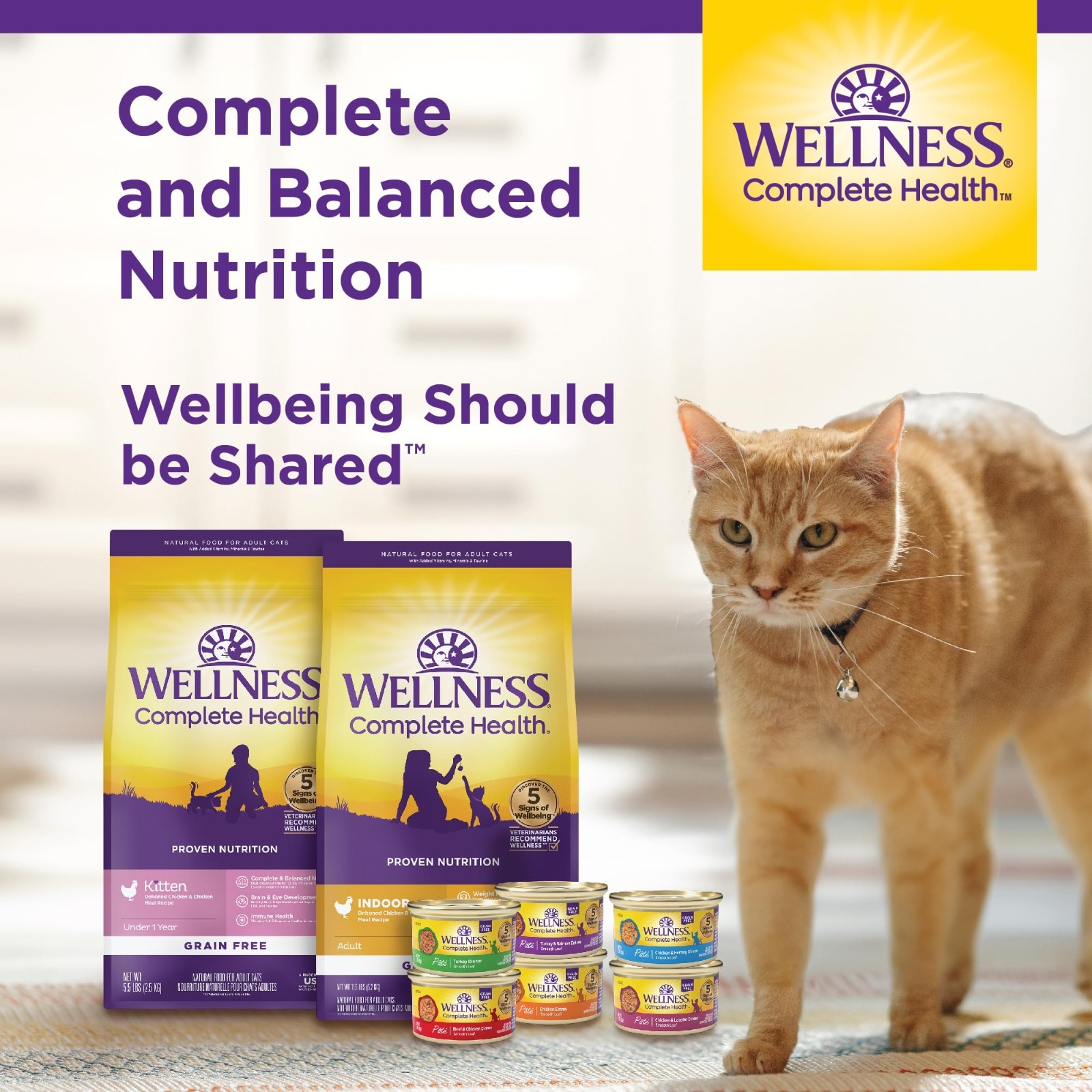 Wellness Complete Health Pate Kitten Wet Cat Food, Chicken, 3 oz – 48 ct