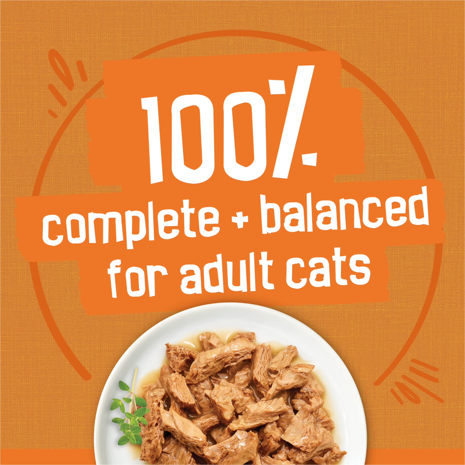 2PACK Purina Friskies Gravy Wet Cat Food Variety Pack, Chicken Lovers Prime,32ct