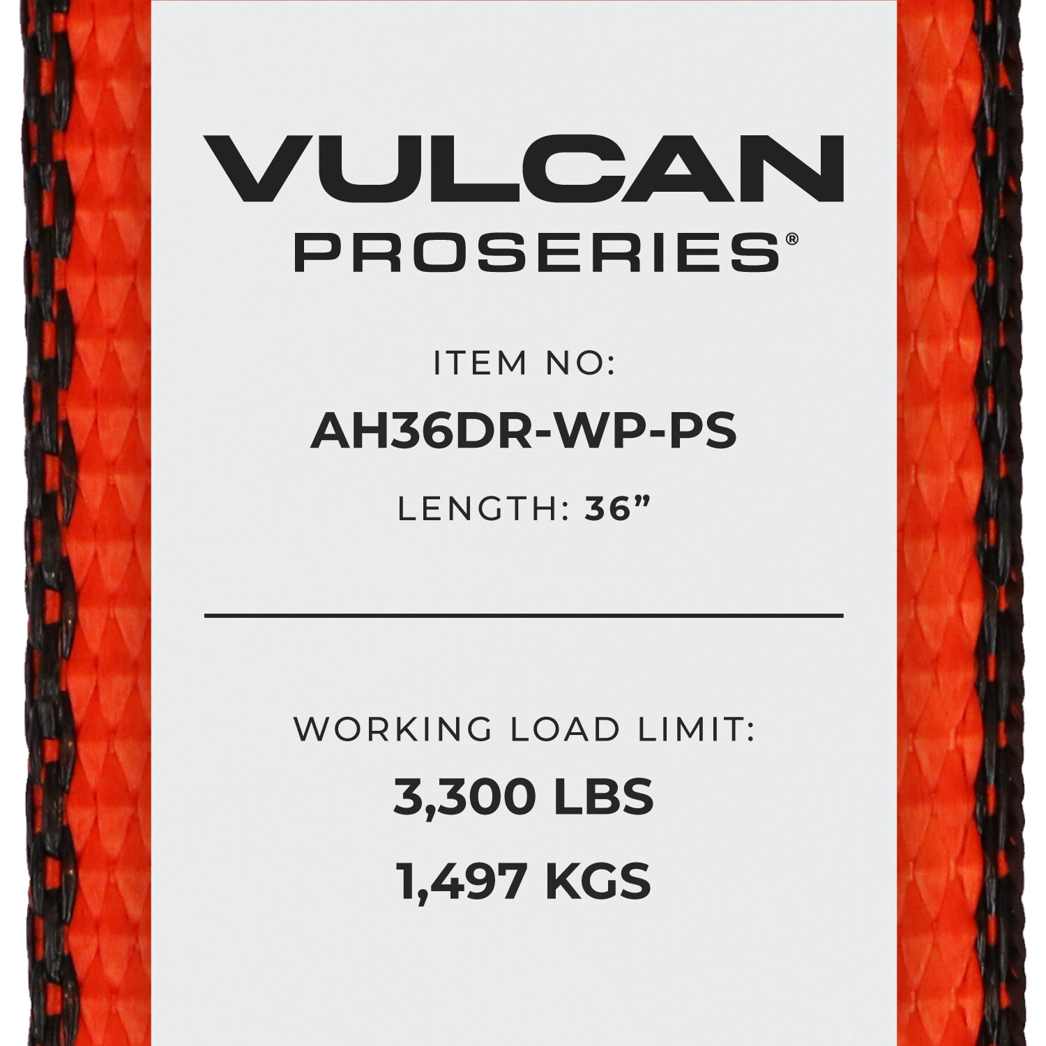 Car Tie Down Axle Strap – Wear Pad – 2×36″, 4 Pack – PROSeries – 3300 lbs SWL