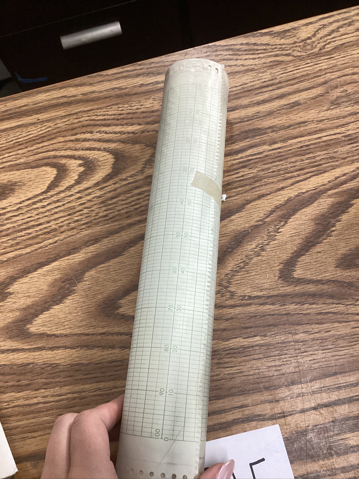 NEW MOLYTEK 414446 THERMAL CHART PAPER