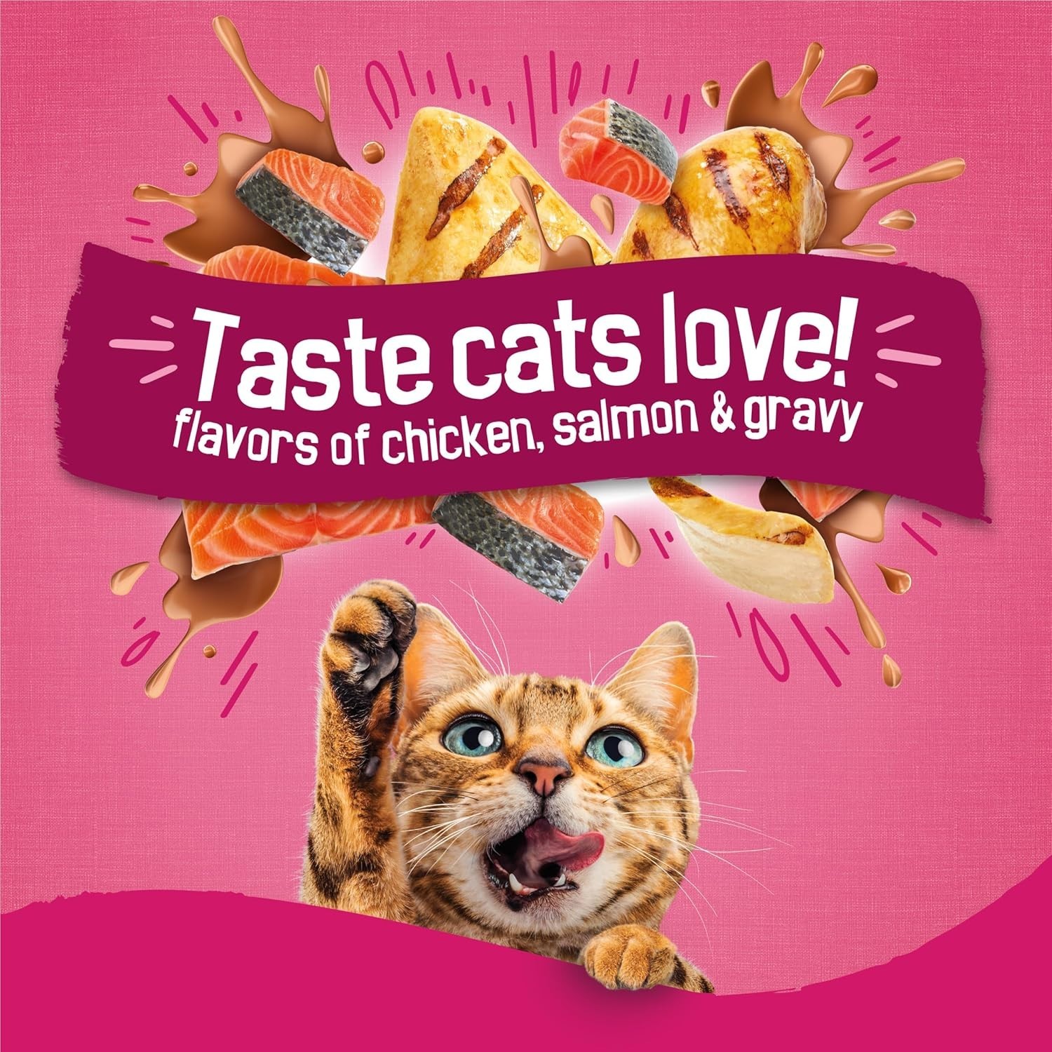 Friskies Gravy Swirlers Chicken & Salmon Flavor Dry Cat Food, 16-lb, 4 PACK