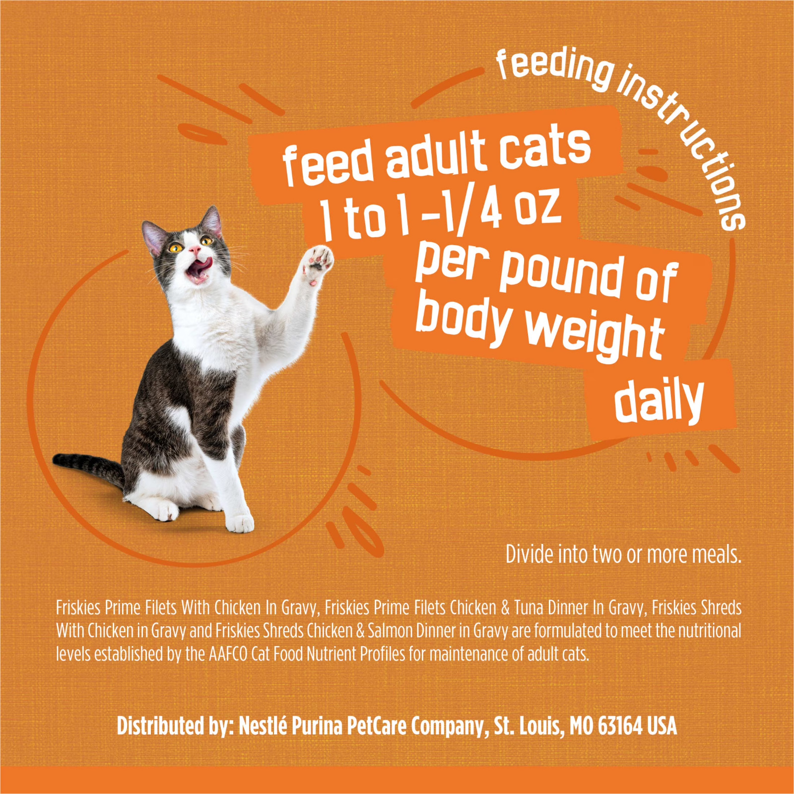 2PACK Purina Friskies Gravy Wet Cat Food Variety Pack, Chicken Lovers Prime,32ct