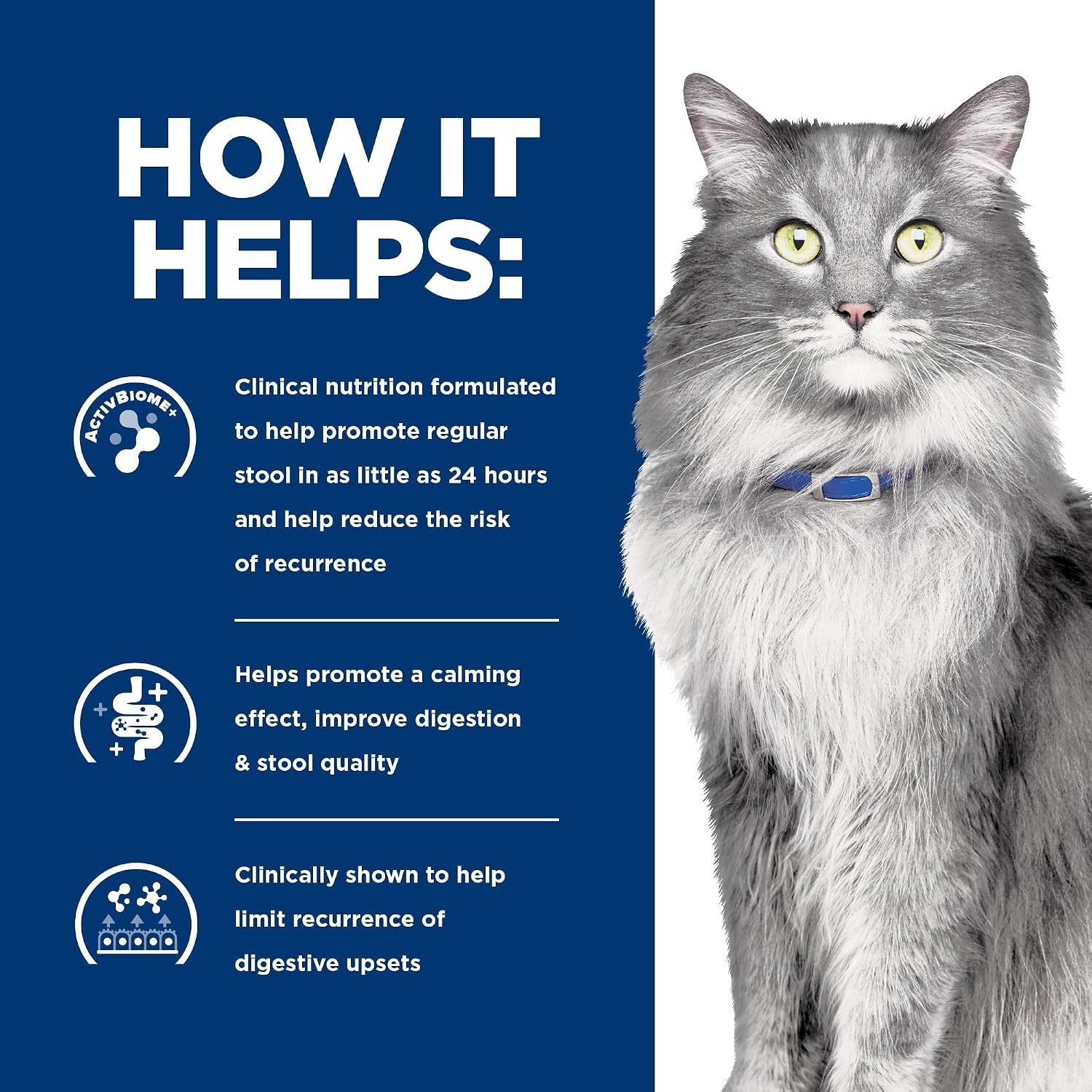 Gastrointestinal Biome Stress Digestive/Fiber Care Wet Cat Food, Chicken & Veget