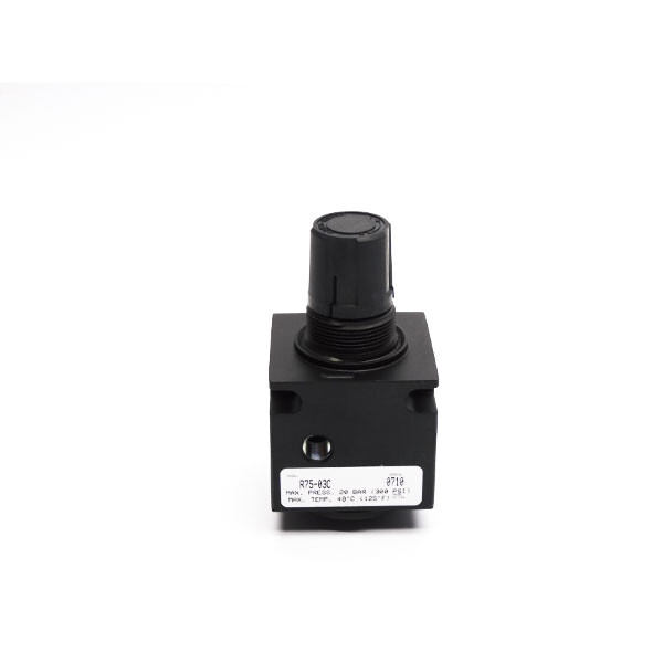WATTS R75-03C 300PSI NSNP