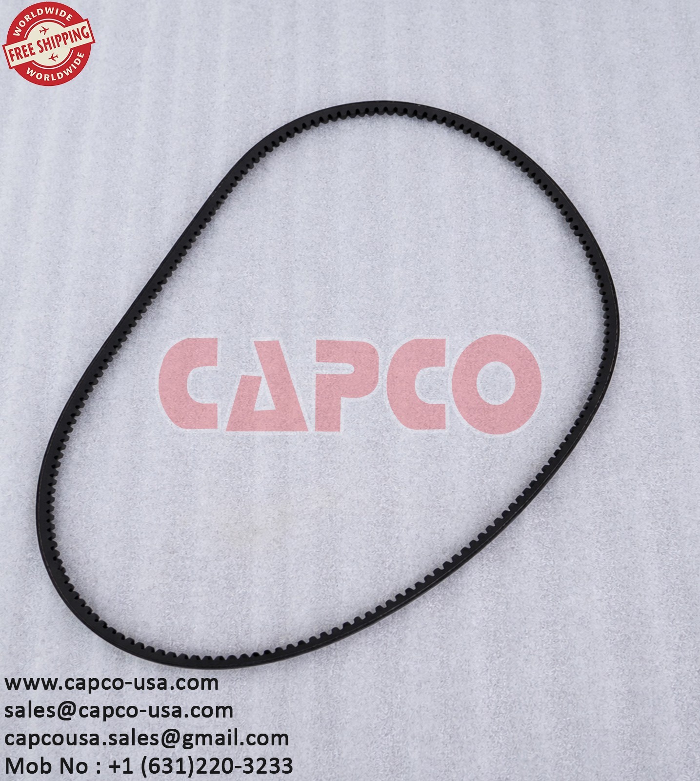 BELT 6.3813.0/NON OEM/FREE SHIPPING