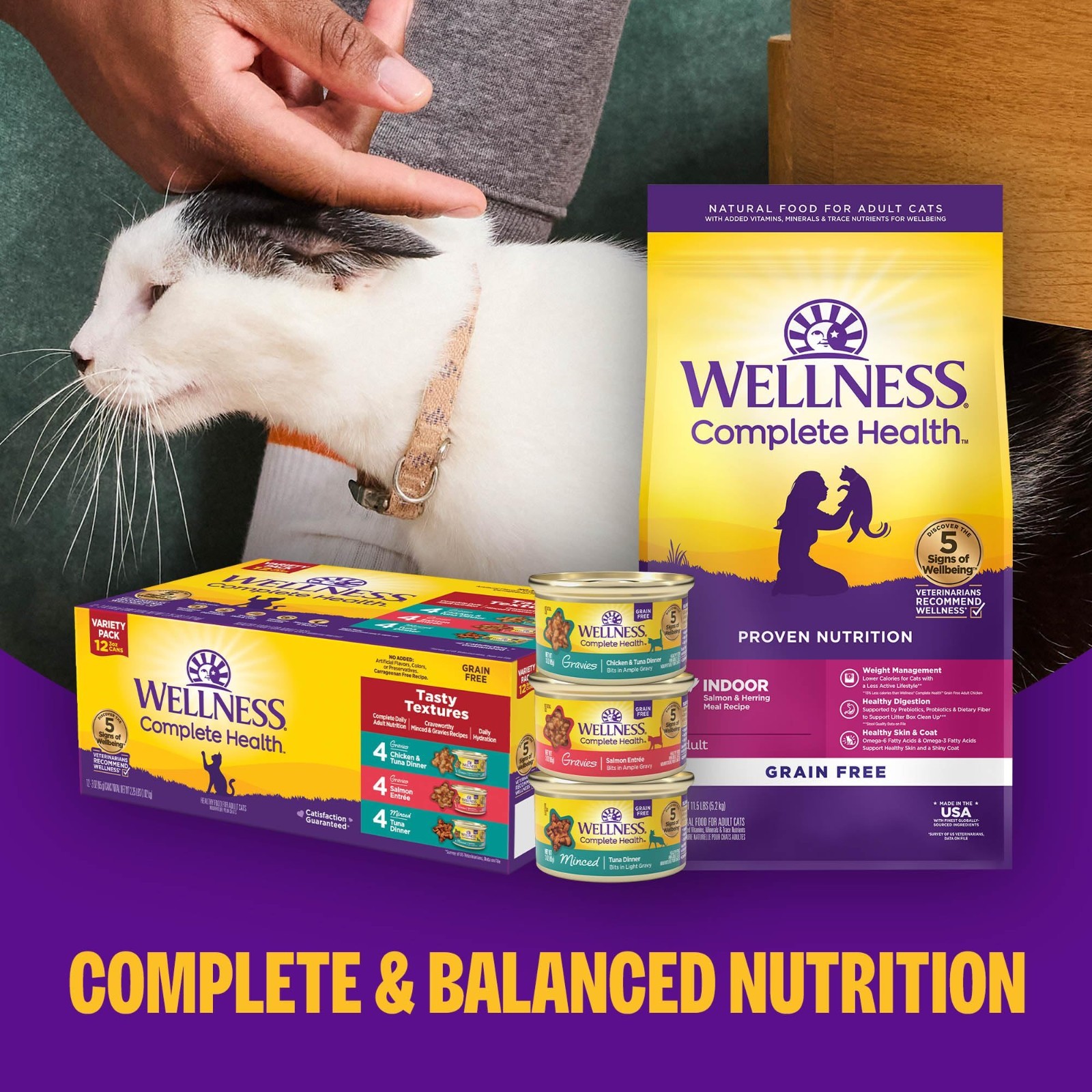 Wellness Complete Health Pate Kitten Wet Cat Food, Chicken, 3 oz – 48 ct