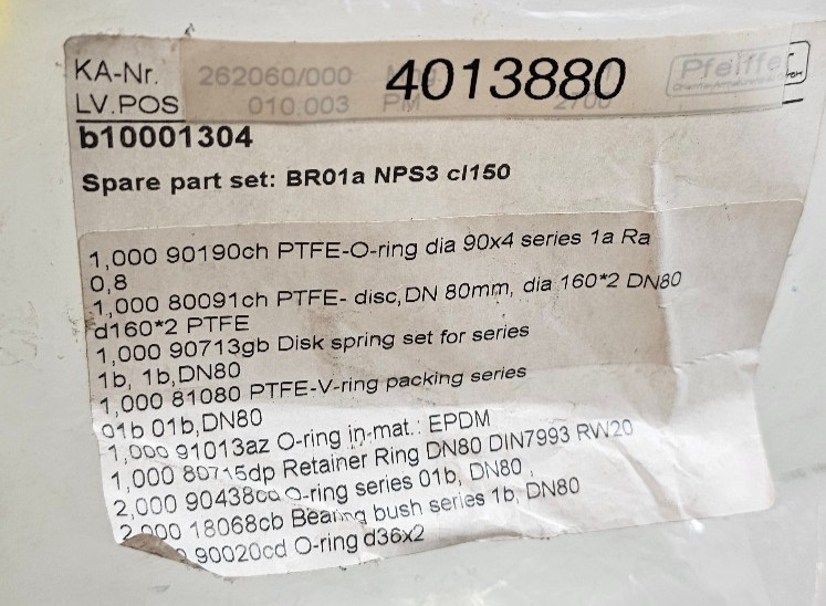 Pfeiffer b10001304 BR01a NPS1 CL150 Part Set 262060/000 O-Rings/Discs, Bushing