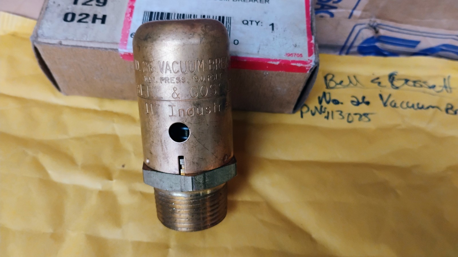 Bell & Gossett 113075 Vacuum Breaker, 3/4 in, MNPT, 240 psig, 300 deg F