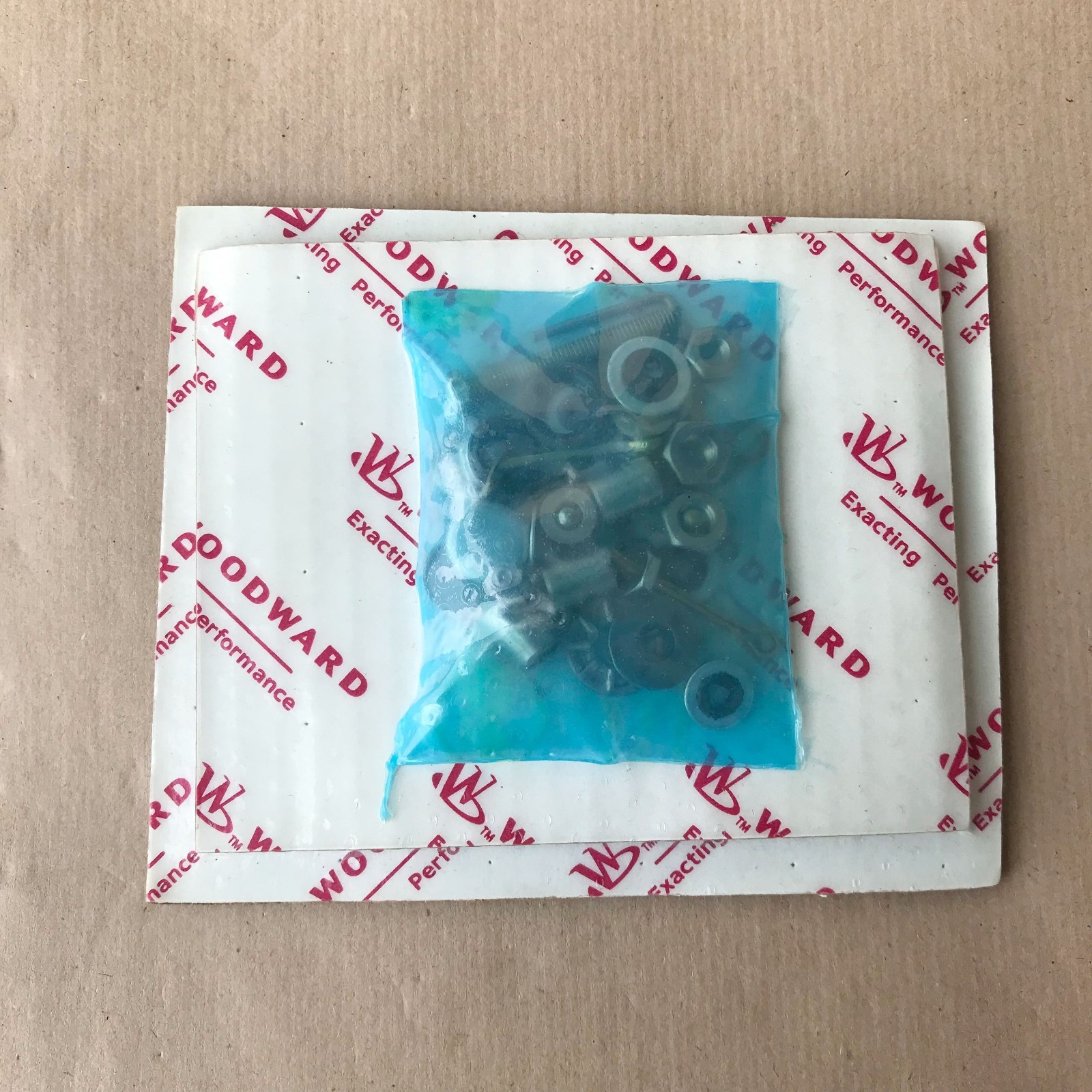 WOODWARD 8934-306 KIT GOVERNOR OVERHAUL REPAIR KIT
