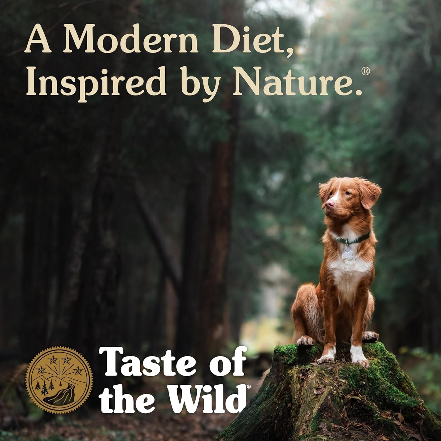 High Prairie Grain-Free Dry Dog Food with Roasted Bison & Roasted Venison, 28lb