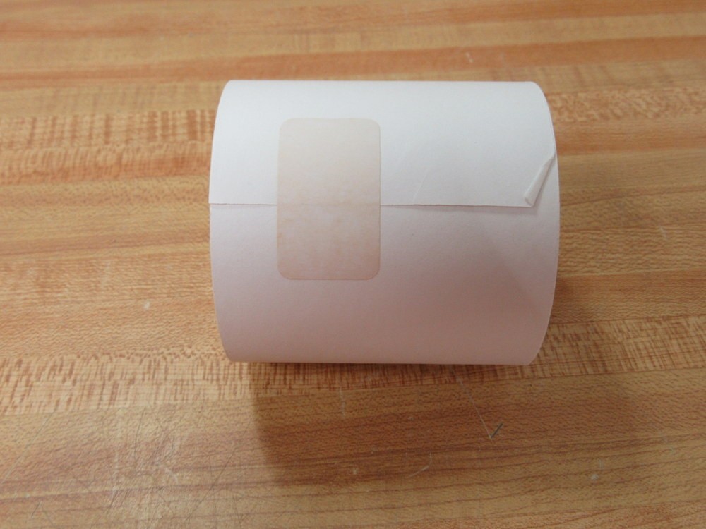 POS World SPE-3X3121PB One-Ply Paper Roll SPE3X3121PB (Pack of 50)