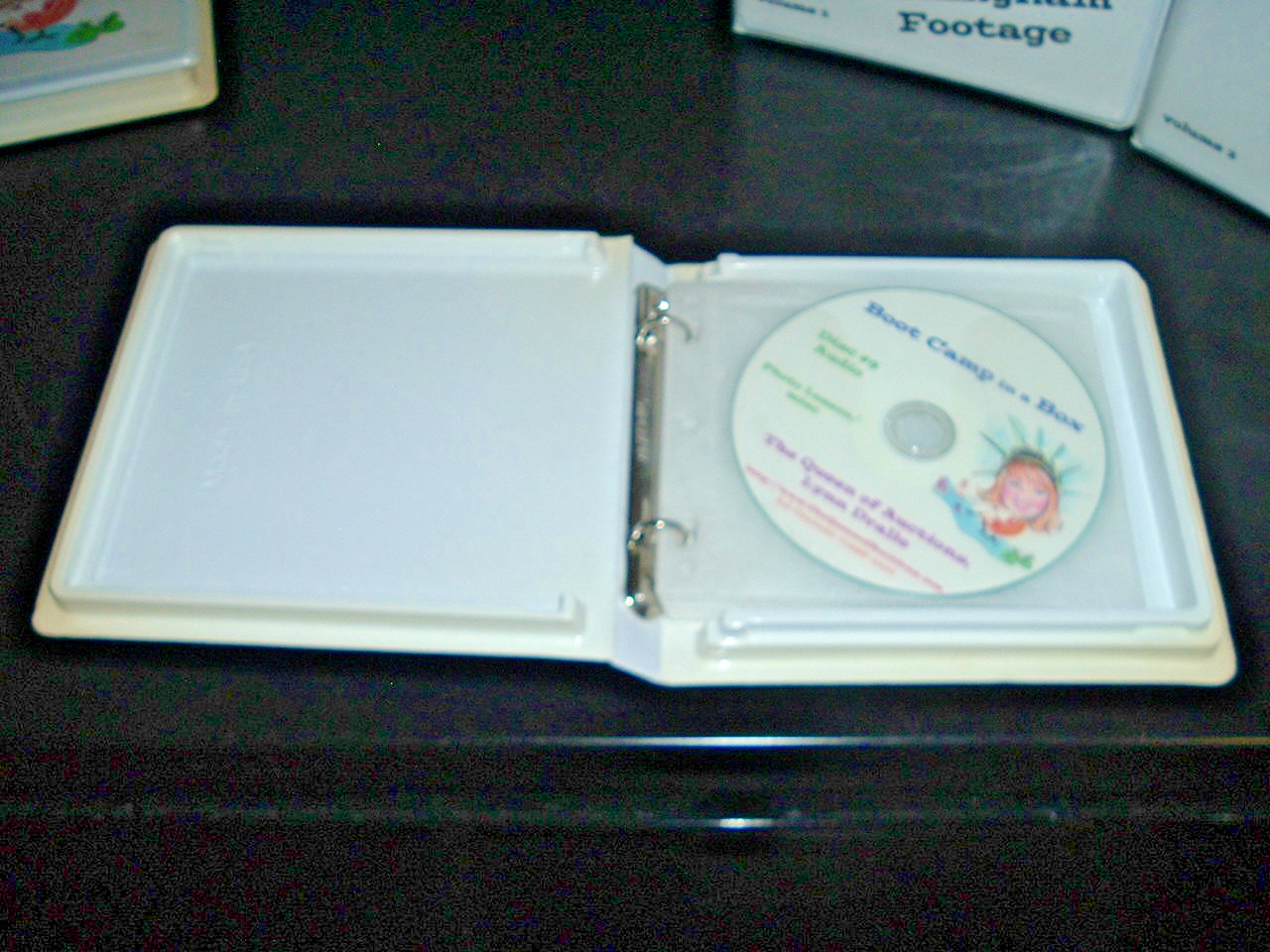 Lynn Dralle Boot Camp in a Box Ebay Made Easy Audio & Video Learning Lessons
